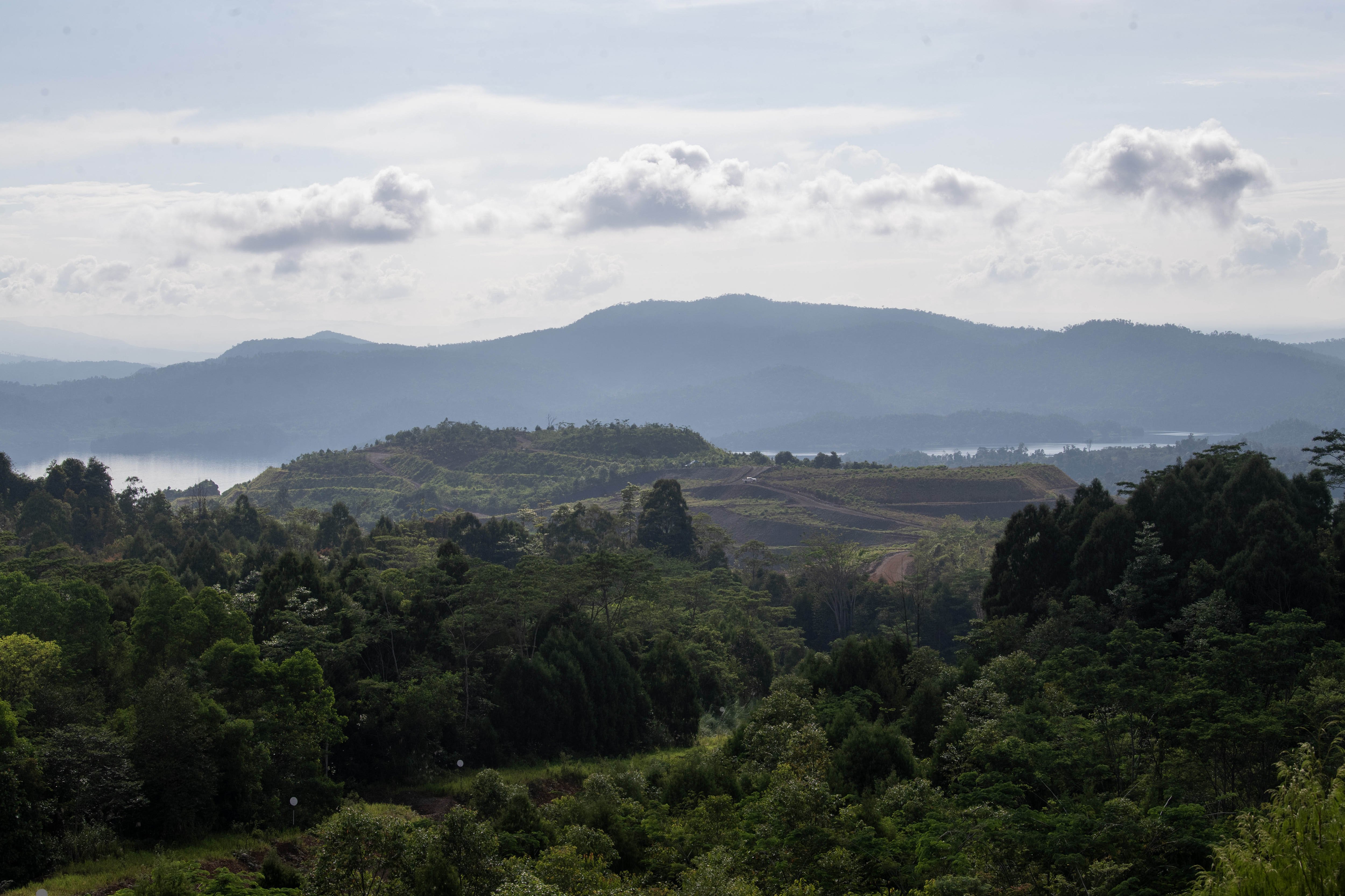 Kawasan hutan himalaya bekas tambang nikel milik PT Vale Indonesia Tbk di Sorowako, Luwu Timur, Sulawesi Selatan.