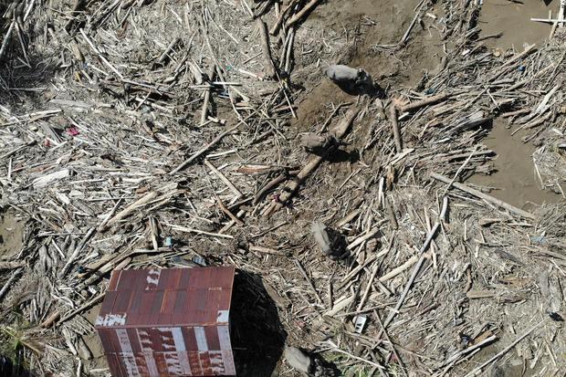 Sejumlah Gajah Sumatera (Elephas maximus sumatranus) jinak yang ditunggangi mahout membersihkan puing kayu yang menutupi jalan dan pemukiman warga akibat bencana alam di Desa Meunasah Bie, Pidie Jaya, Aceh, Senin (8/12/2025). Balai Konservasi Sumber Daya Alam (BKSDA) Aceh mengerahkan empat ekor gajah jinak untuk membantu membersihkan puing kayu yang menutupi rumah penduduk pascabencana banjir bandang di Kabupaten Pidie Jaya.