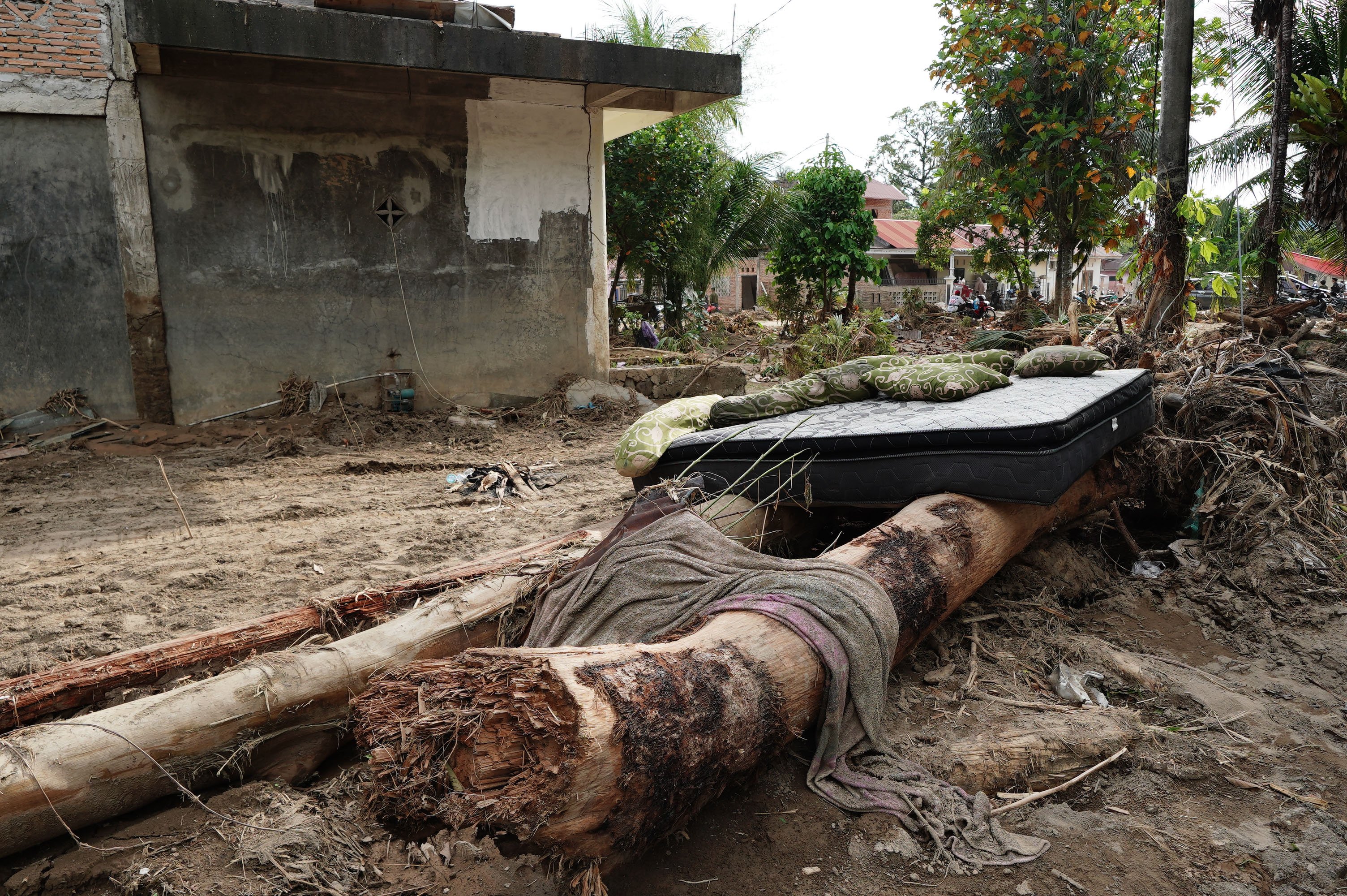 Gelondongan kayu yang terseret banjir bandang di Kampung Apa, Kecamatan Koto Tangah, Padang, Sumatera Barat, Jumat (5/12/2025). Derasnya aliran air dengan material gelondongan kayu dan batu besar yang ikut terbawa hingga menyebabkan bendungan jebol saat banjir bandang melanda kawasan tersebut pada Kamis (27/11) mengakibatkan delapan orang meninggal dunia dan 18 rumah hilang tersapu air.