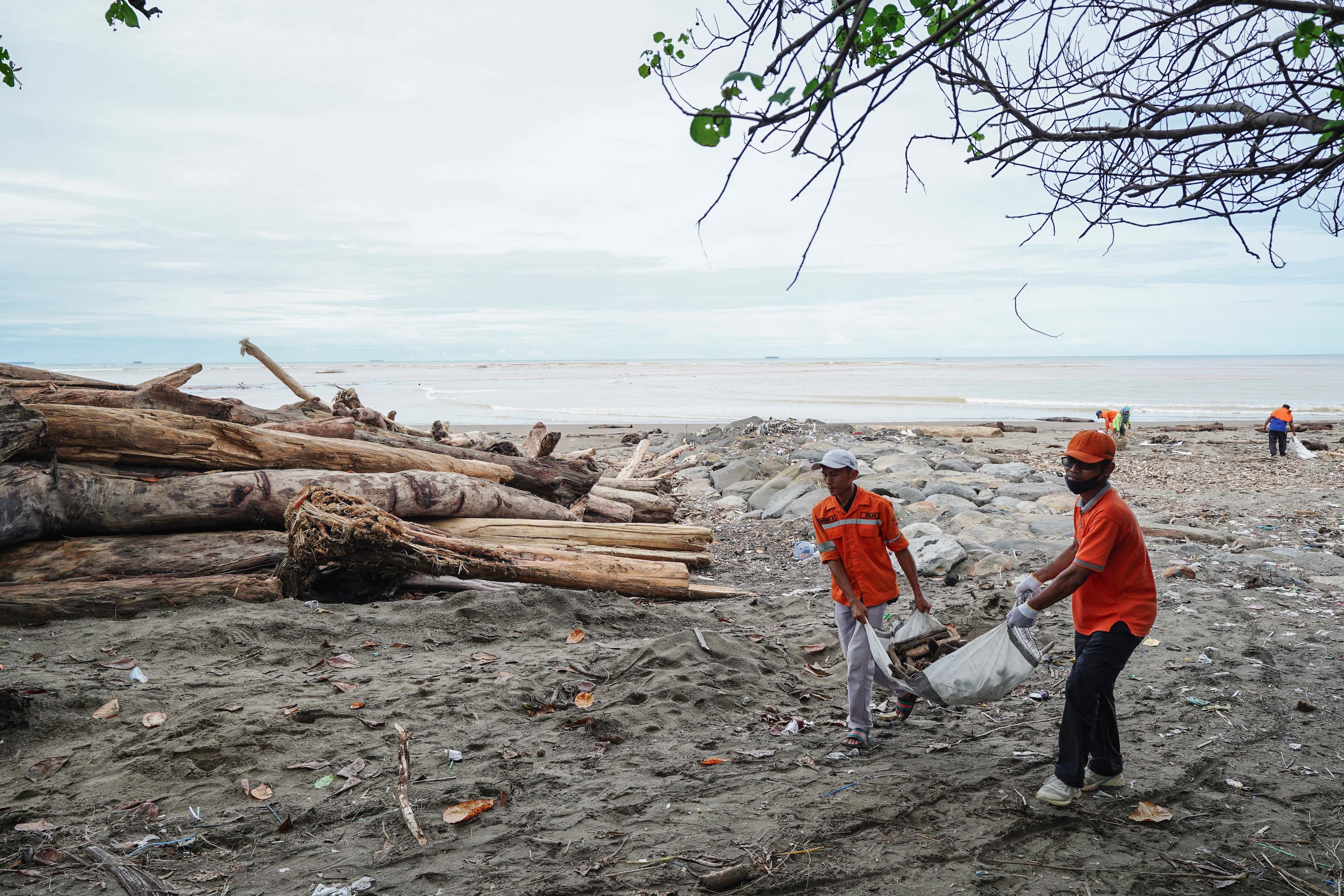 Petugas Dinas Lingkungan Hidup membersihkan kayu sisa banjir bandang di bibir Pantai Parkit, Padang Sumatera Barat, Senin (8/12/2025). Selain mengumpulkan material kayu tersebut, petugas DLH juga mengambil sampel kayu untuk diperiksa oleh pihak berwenang. 