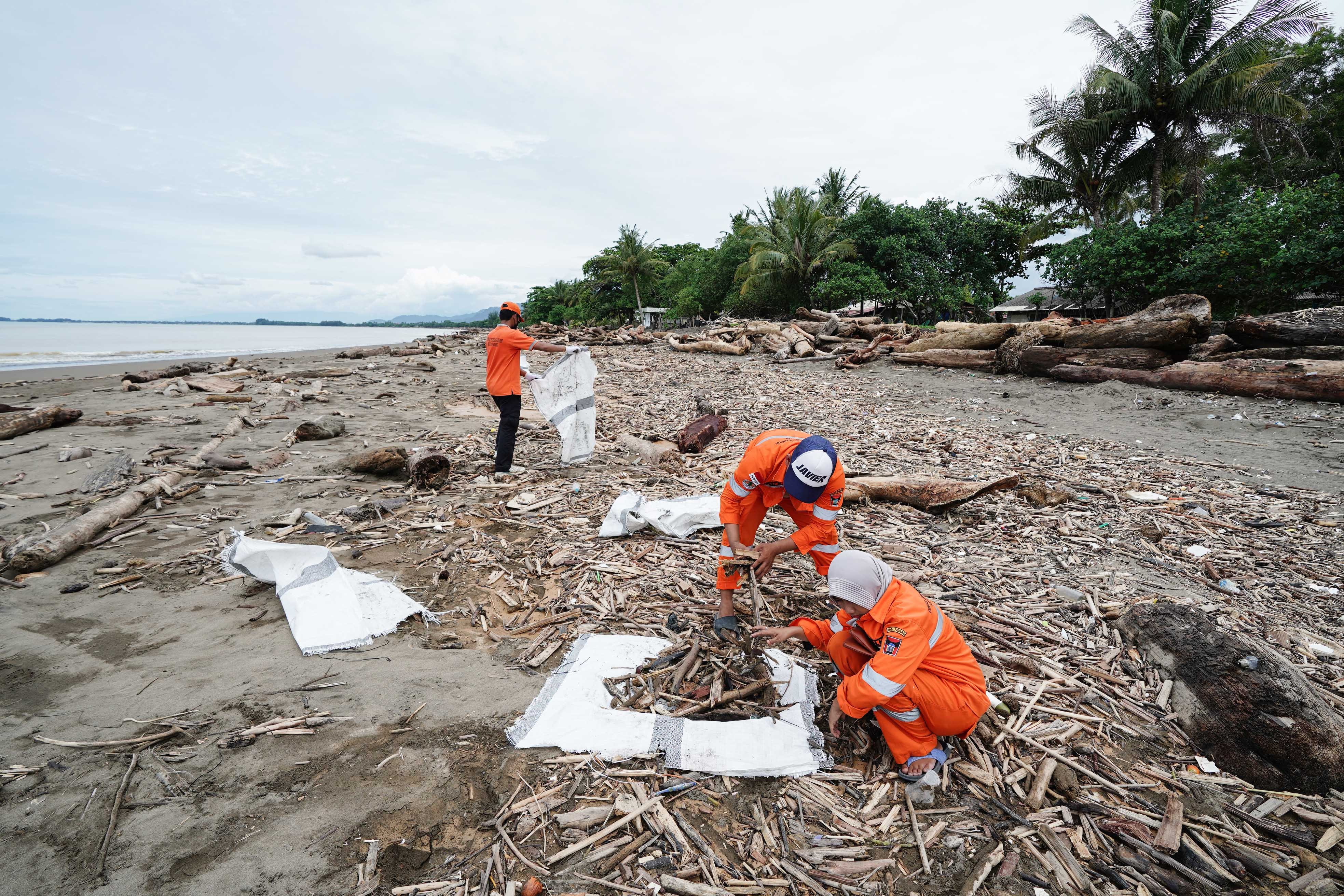Petugas Dinas Lingkungan Hidup membersihkan kayu sisa banjir bandang di bibir Pantai Parkit, Padang Sumatera Barat, Senin (8/12/2025). Selain mengumpulkan material kayu tersebut, petugas DLH juga mengambil sampel kayu untuk diperiksa oleh pihak berwenang. 