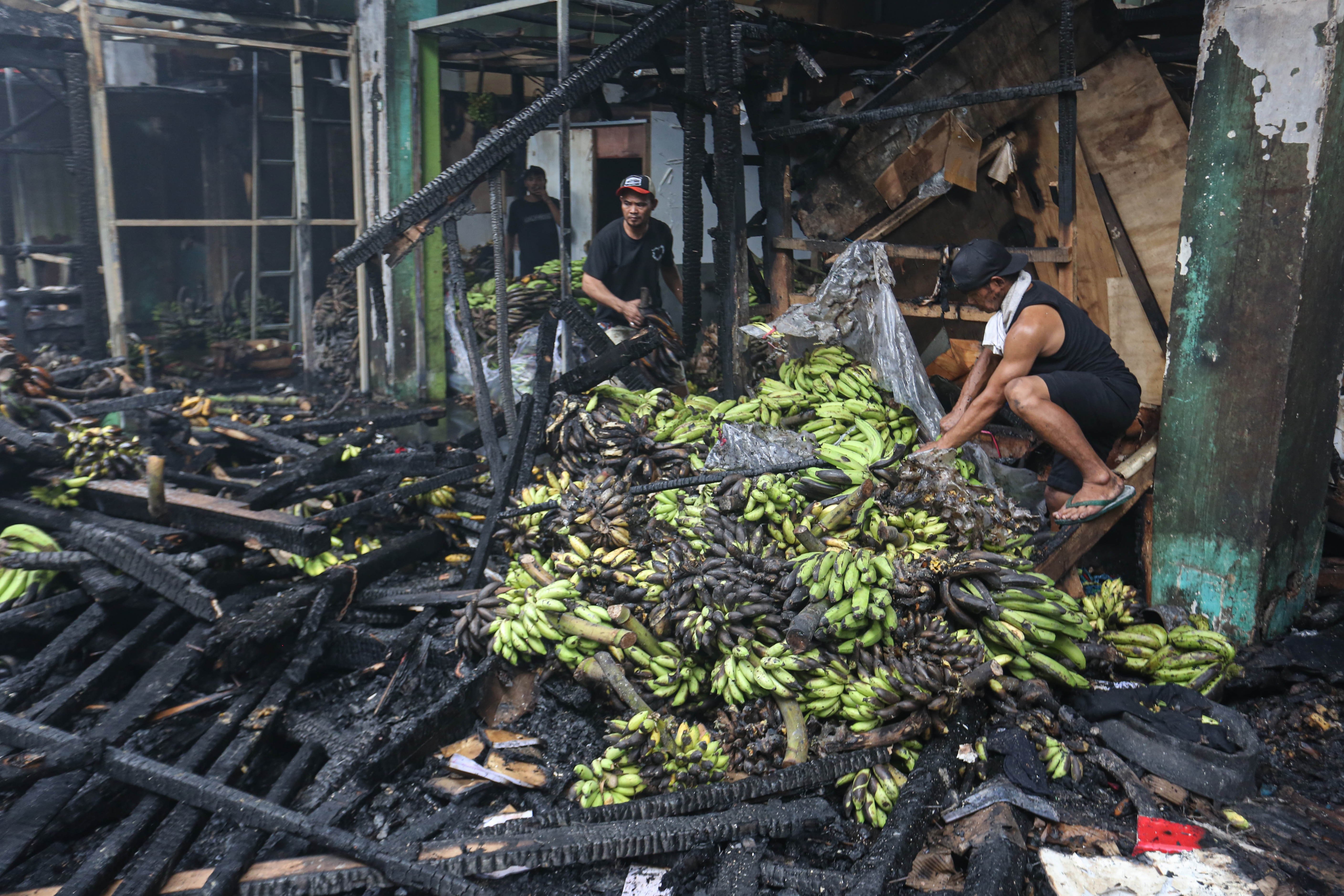 Pedagang mengumpulkan buah pisang usai kios tempat berjualannya terbakar di Pasar Induk Kramat Jati, Jakarta Timur, Senin (15/12/2025). Kebakaran yang diduga akibat korsleting listrik tersebut menyebabkan 350 kios pedagang hangus terbakar dengan kerugian mencapai Rp10 miliar.