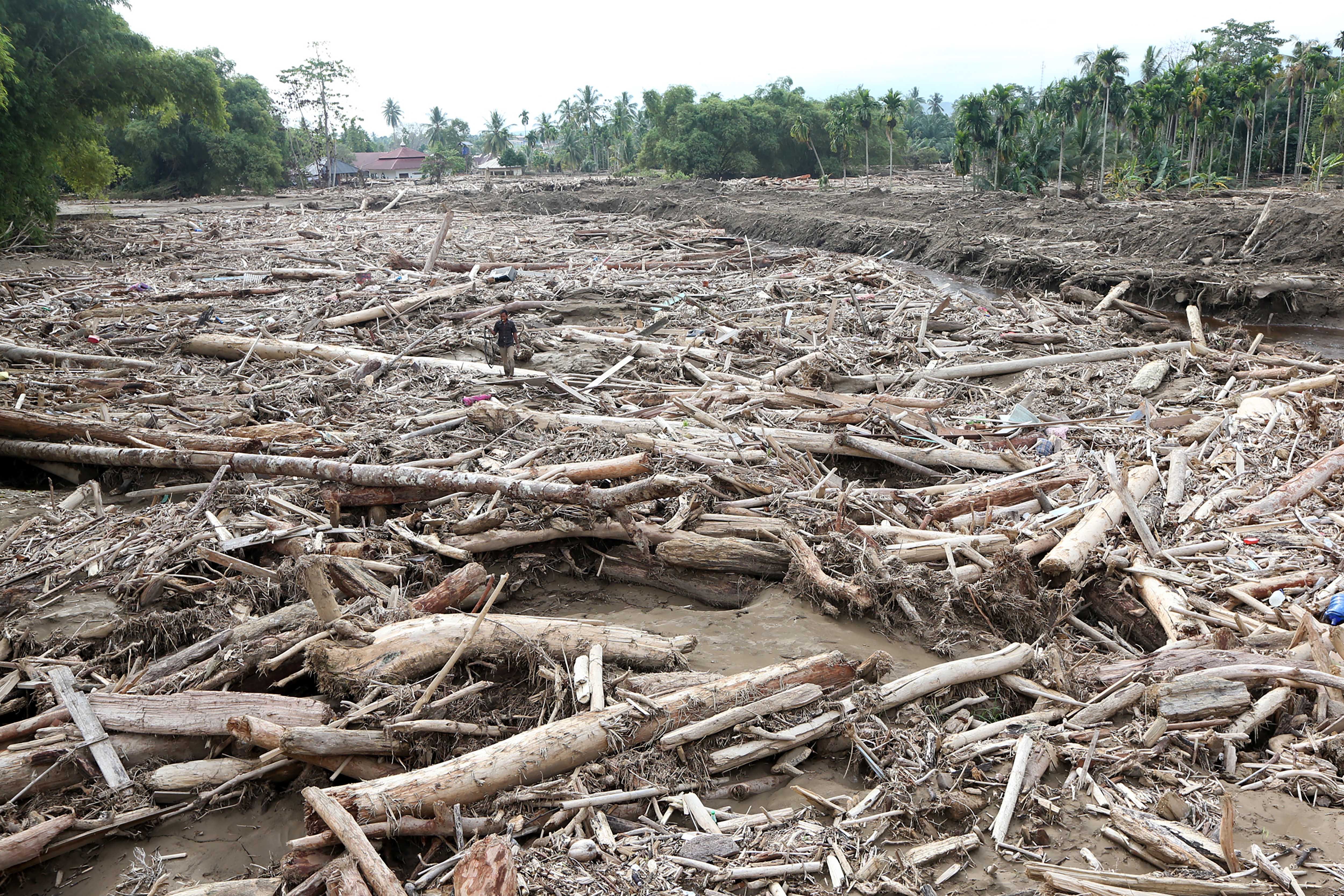 Warga melintas di antara puing kayu yang tertumpuk akibat luapan Sungai Meureudu di areal perkebunan, Pidie Jaya, Aceh, Sabtu (13/12/2025). Berdasarkan data sementara posko tanggap darurat bencana hidrometeorologi pascameluapnya Sungai Meureudu 26 November 2025 mengakibatkan 757 hektar perkebunan, 122 unit tempat ibadah, 10.530 unit rumah warga tergenang lumpur dan rusak berat serta 5.729 kepala keluarga atau 20.114 jiwa terpaksa mengungsi.