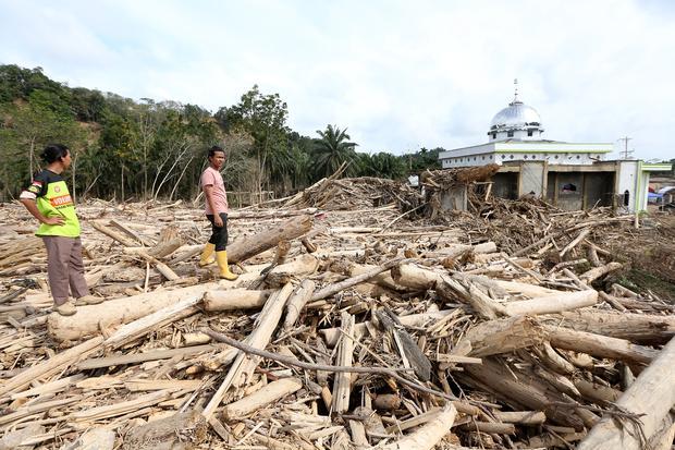 Tumpukan gelondongan kayu di belakang masjid Nurussalam