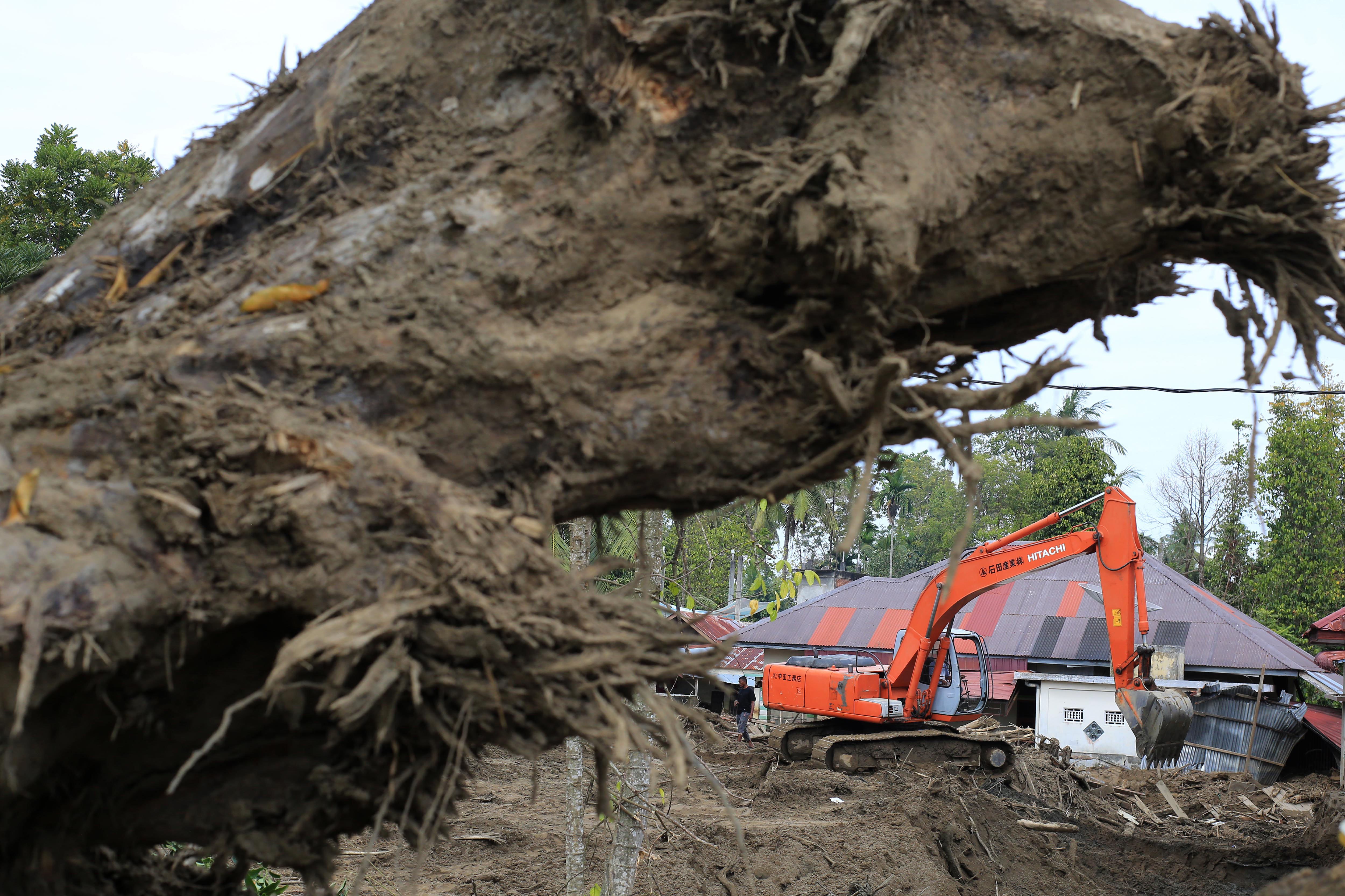 Pekerja menggunakan eskavator mengangkat kayu gelondongan yang menumpuk di daerah aliran sungai pascabanjir bandang di Desa Blang Cut, Kecamatan Meurah Dua, Kabupaten Pidie Jaya, Aceh, Selasa (30/12/2025). Pemerintah mengerahkan sejumlah eskavator untuk membersihkan kayu gelondongan dan lumpur dalam rangka normalisasi sungai dan percepatan pemulihan daerah yang terdampak bencana alam banjir bandang dan longsor di beberapa wilayah provinsi Aceh.