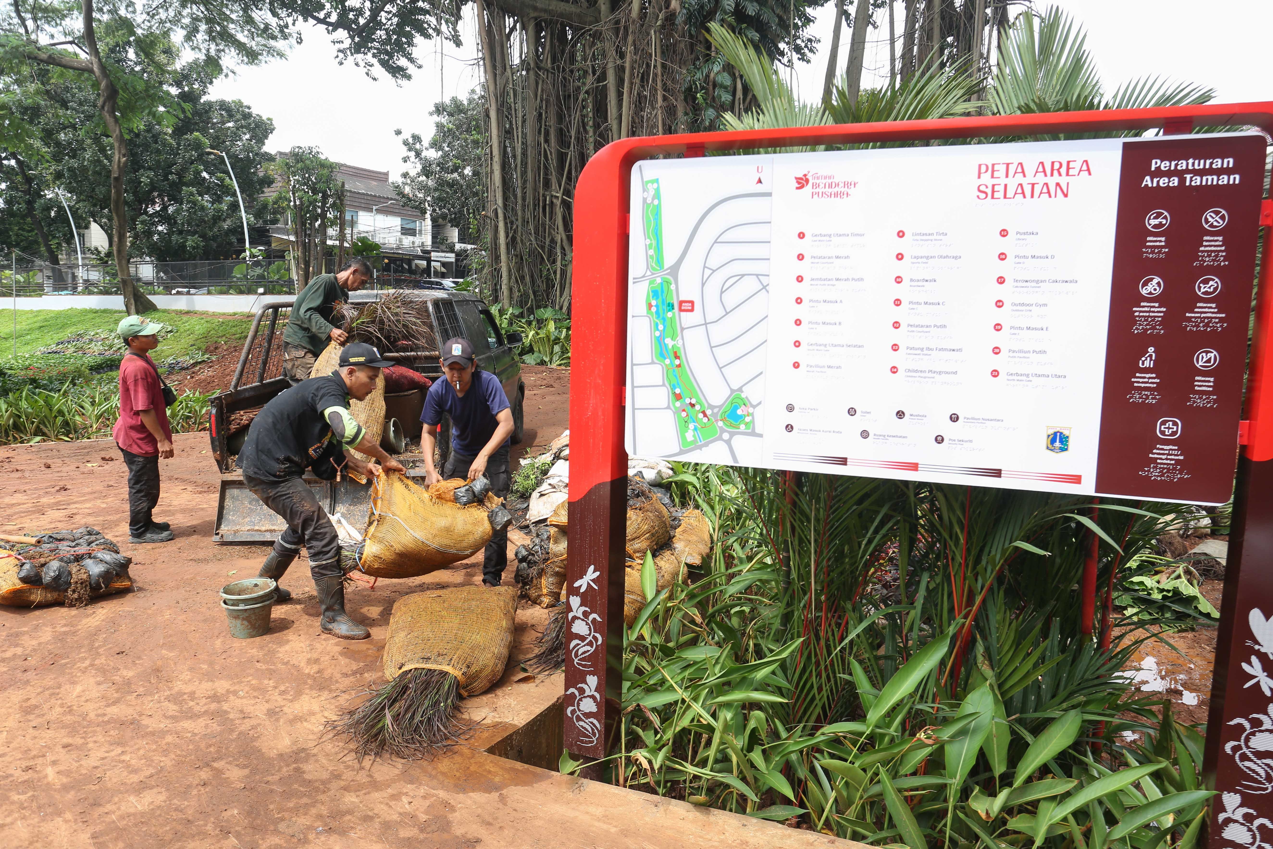Pekerja mengangkut bibit pohon yang akan ditanam saat pembangunan Taman Bendera Pusaka di Jakarta Selatan, Rabu (18/2/2026). Taman seluas 5,6 hektare yang menggabungkan tiga taman, yakni Taman Langsat, Taman Ayodya dan Taman Leuser ini prosesnya telah mencapai 92 persen dan dijadwalkan akan dibuka paling lambat pada Maret 2026.