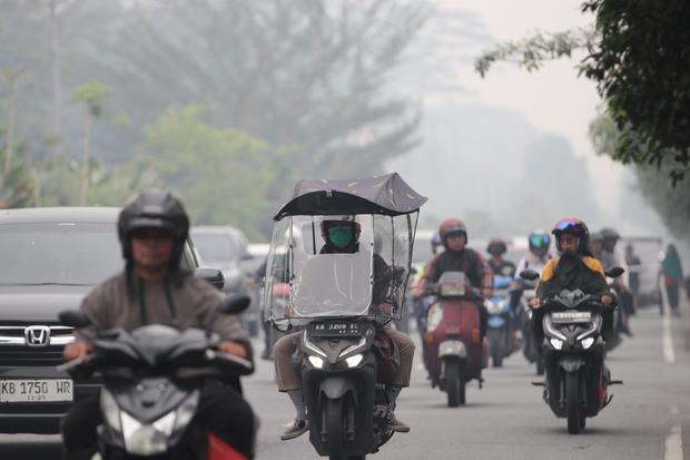 BMKG Kalbar deteksi 206 titik panas
