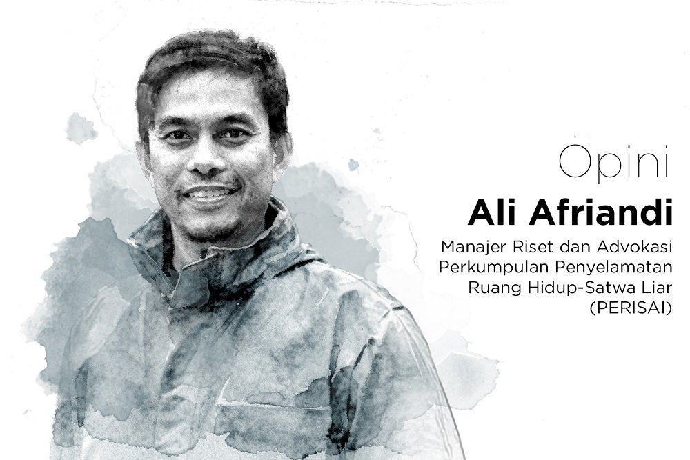 Ali Afriandi