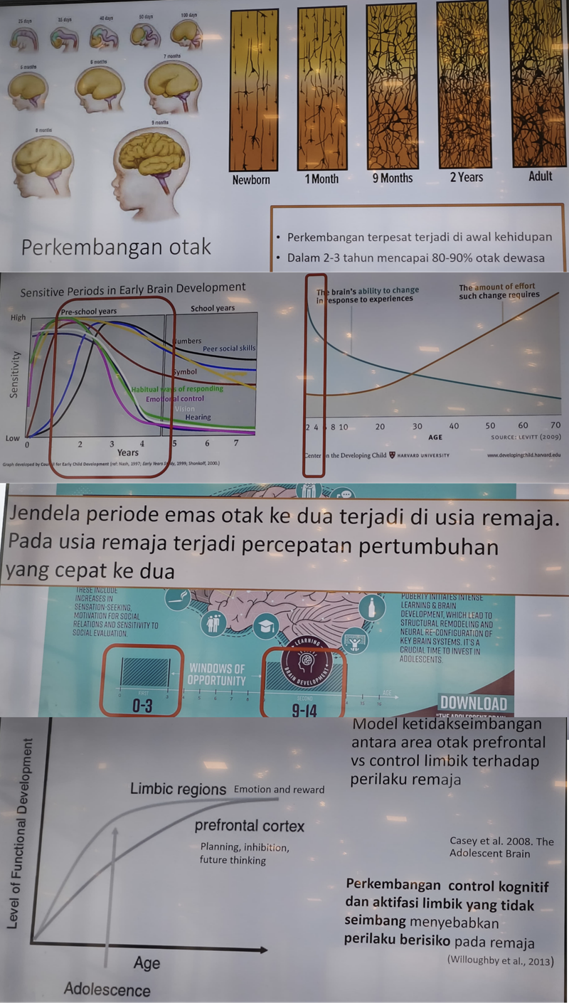 Perkembangan otak anak