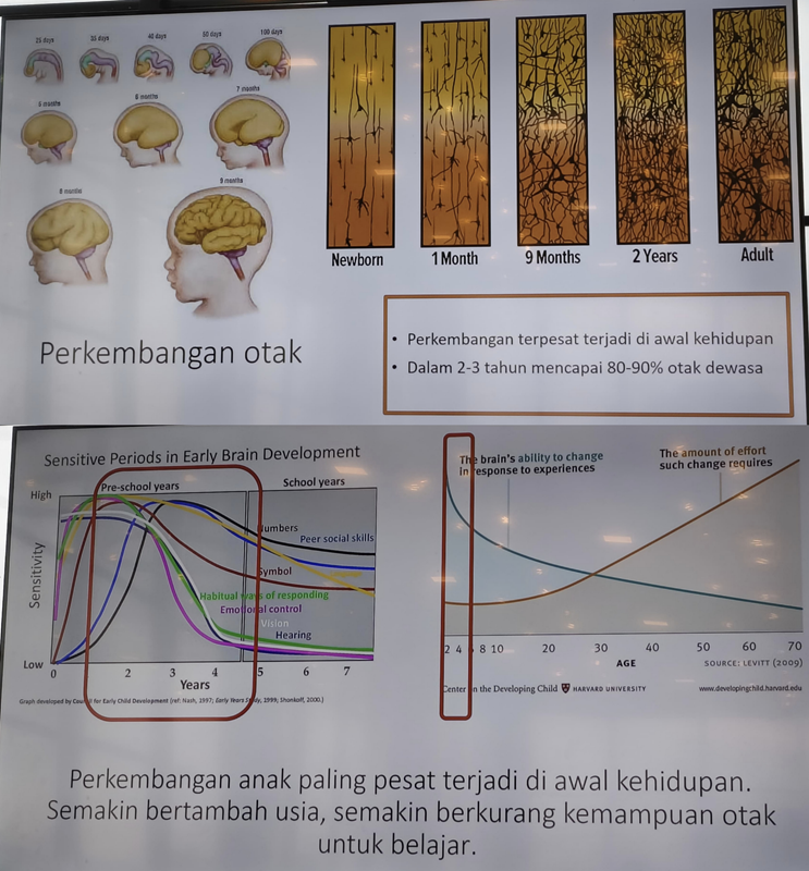 Perkembangan otak anak
