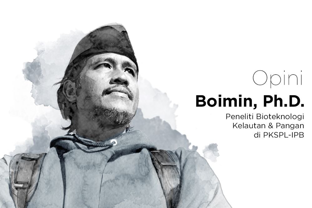 Boimin