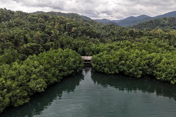 Target proyek karbon biru Indonesia pada 2027