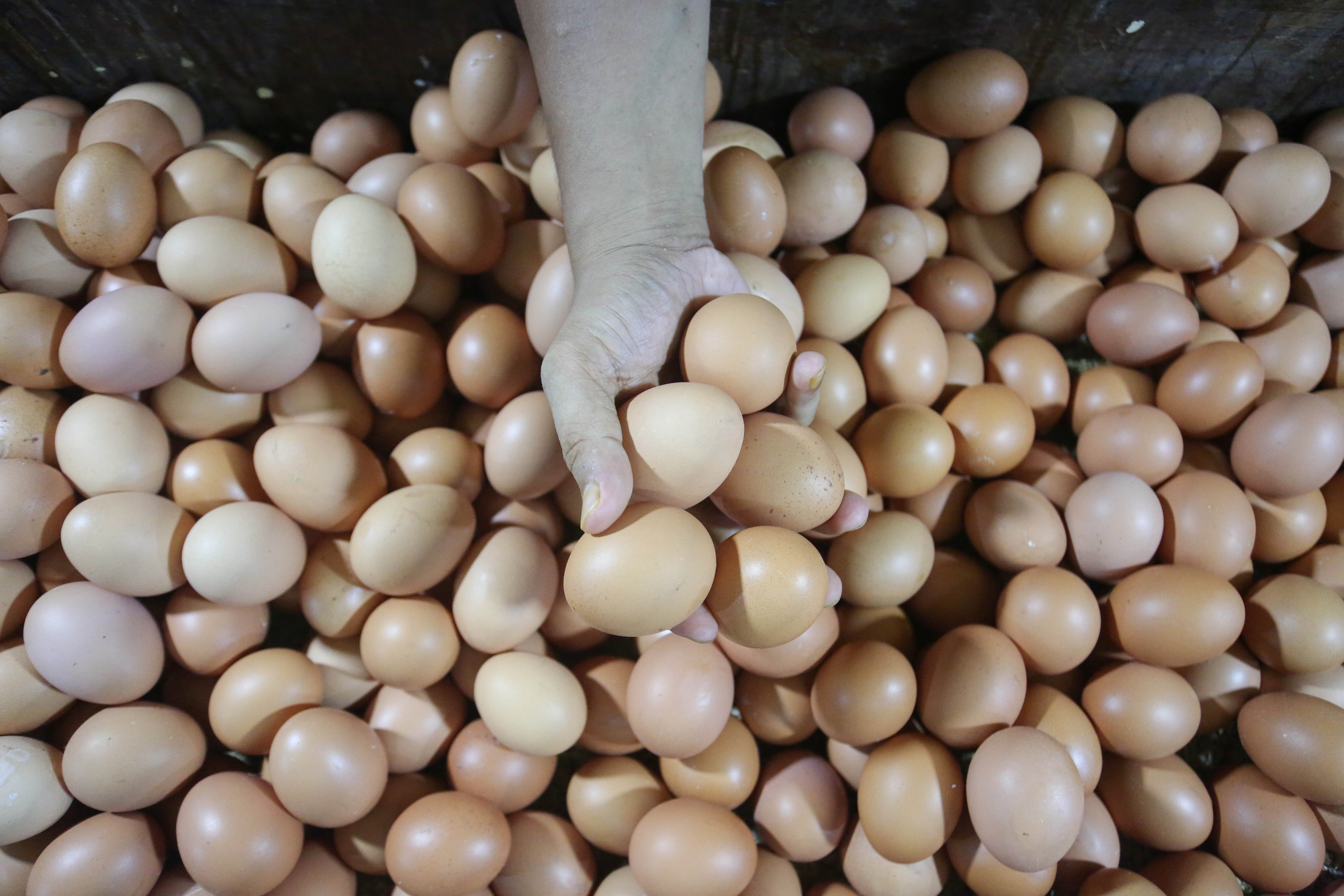 Pedagang menunjukkan telur ayam yang dijual di Pasar Minggu, Jakarta Selatan, Kamis (26/3/2026). Lima hari setelah Lebaran, harga telur ayam belum mengalami penurunan yakni masih berada di angka Rp 32 ribu per kilogram.