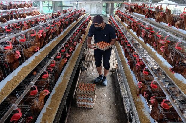 BPS catat perubahan IHPB Umum Nasional