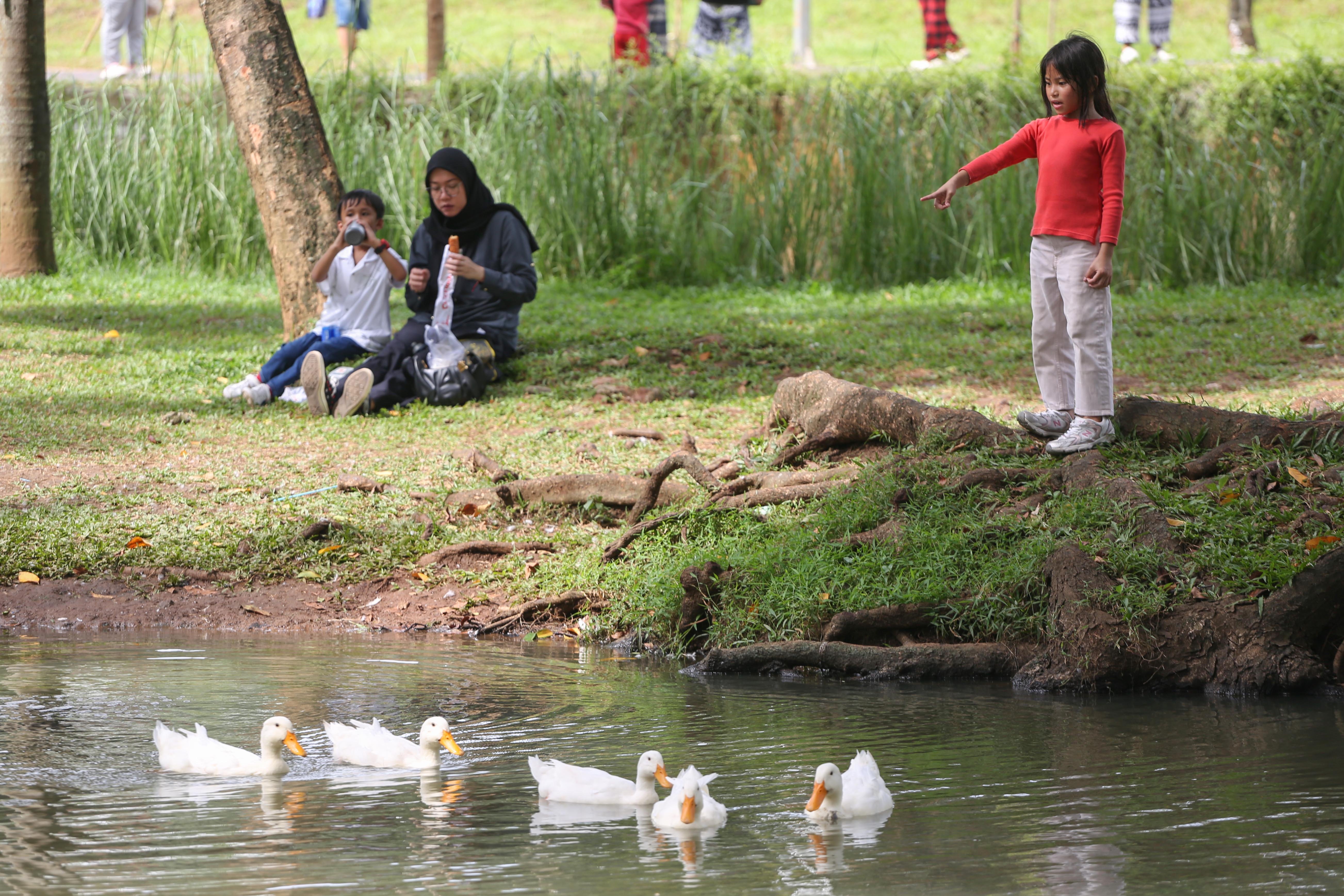 Warga bersama anaknya melihat bebek di Taman Bendera Pusaka, Kebayoran Baru, Jakarta Selatan, Sabtu (25/4/2026). Taman seluas 5,6 hektare yang menawarkan suasana asri dan dilengkapi dengan fasilitas seperti area piknik, lapangan olahraga, hingga tempat bermain anak ini menjadi destinasi wisata baru bagi masyarakat dalam menghabiskan waktu akhir pekan.