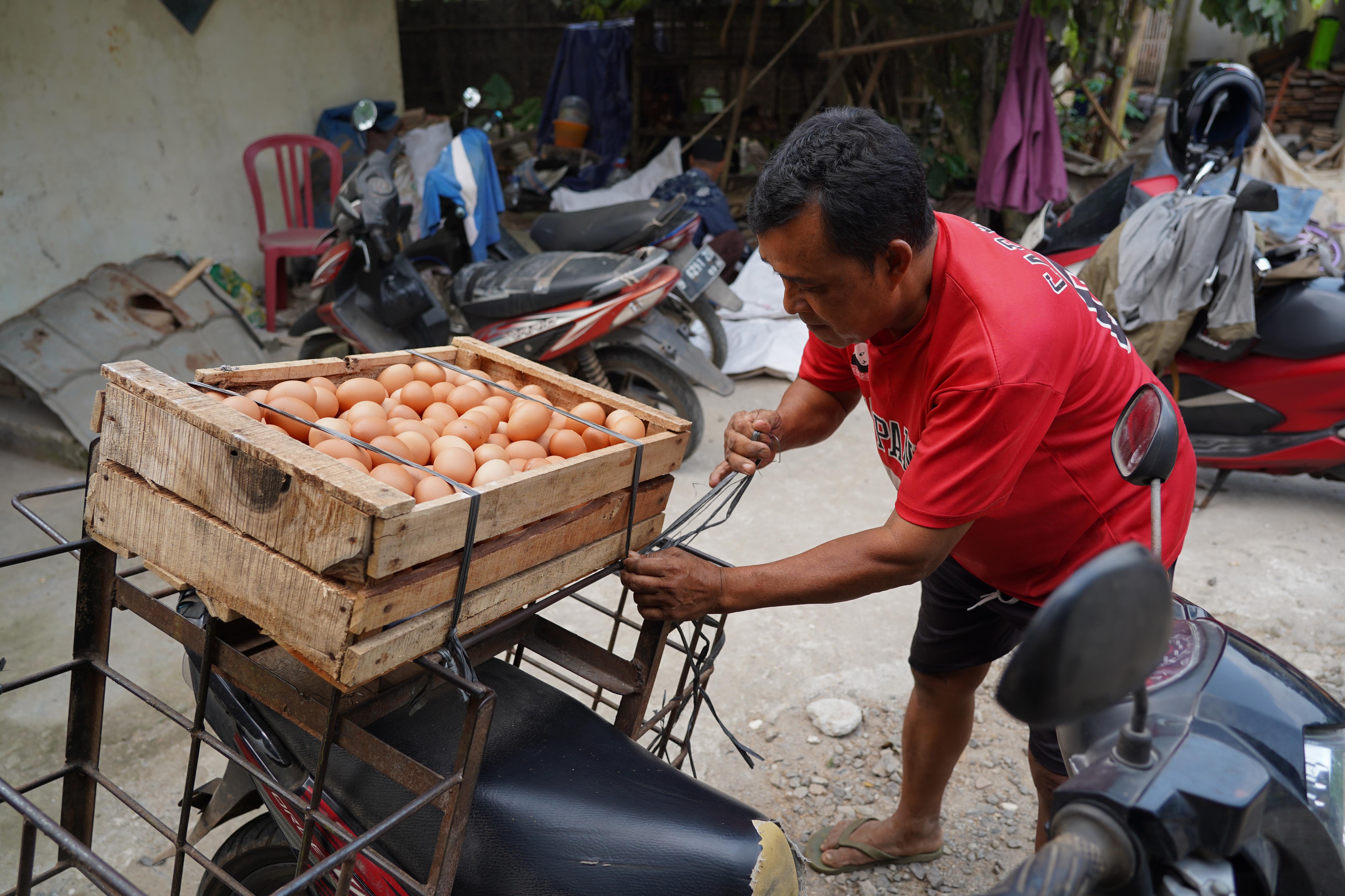 Peternak bersiap mengirimkan telur kepada konsumen di peternakan ayam kawasan Gunung Sindur, Kabupaten Bogor, Jawa Barat, Selasa (7/7/2026). Berdasarkan keterangan peternak sudah dua bulan terakhir harga telur anjlok dari Rp 26 ribu menjadi Rp 21.500 per kilogram yang disebabkan oleh menurunnya permintaan dari konsumen.