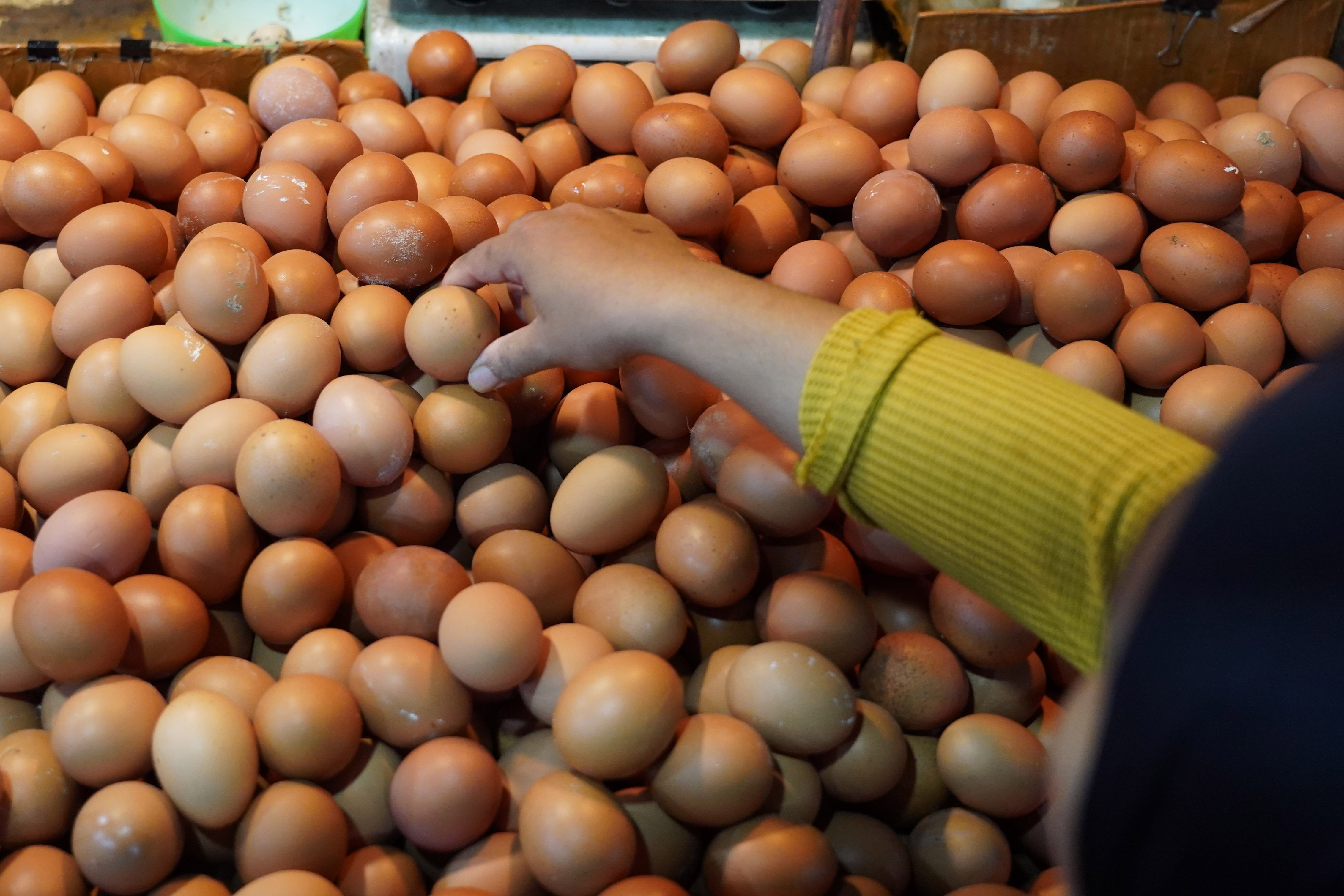 Warga memilih telur yang dijual di Pasar Kebayoran Lama, Jakarta, Kamis (23/7/2026). Berdasarkan keterangan pedagang, seiring dengan naiknya permintaan dari konsumen harga telur ayam kembali stabil Rp 26 ribu dari sebelumnya Rp 23 ribu per kilogram.