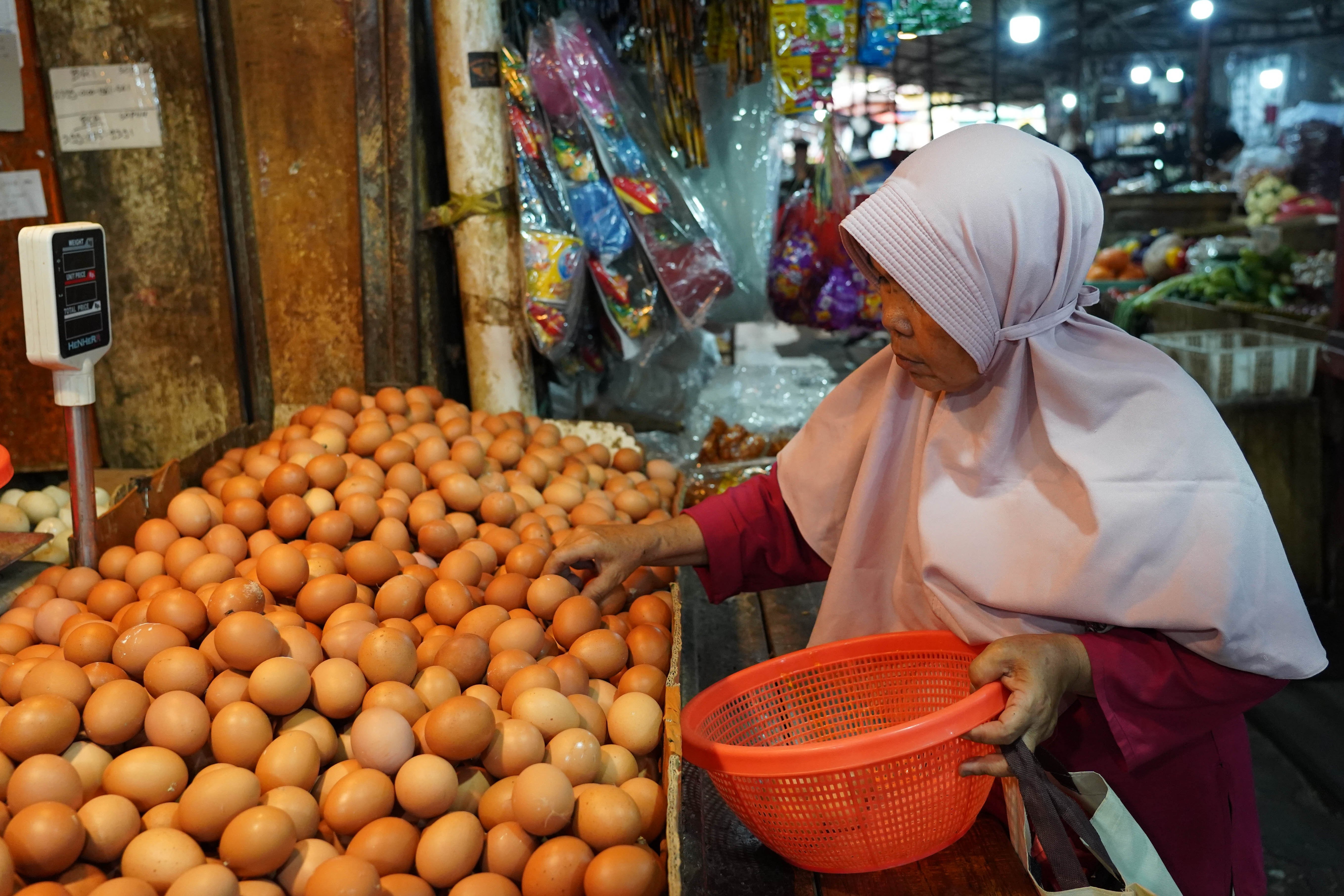 Warga memilih telur yang dijual di Pasar Kebayoran Lama, Jakarta, Kamis (23/7/2026). Berdasarkan keterangan pedagang, seiring dengan naiknya permintaan dari konsumen harga telur ayam kembali stabil Rp 26 ribu dari sebelumnya Rp 23 ribu per kilogram.