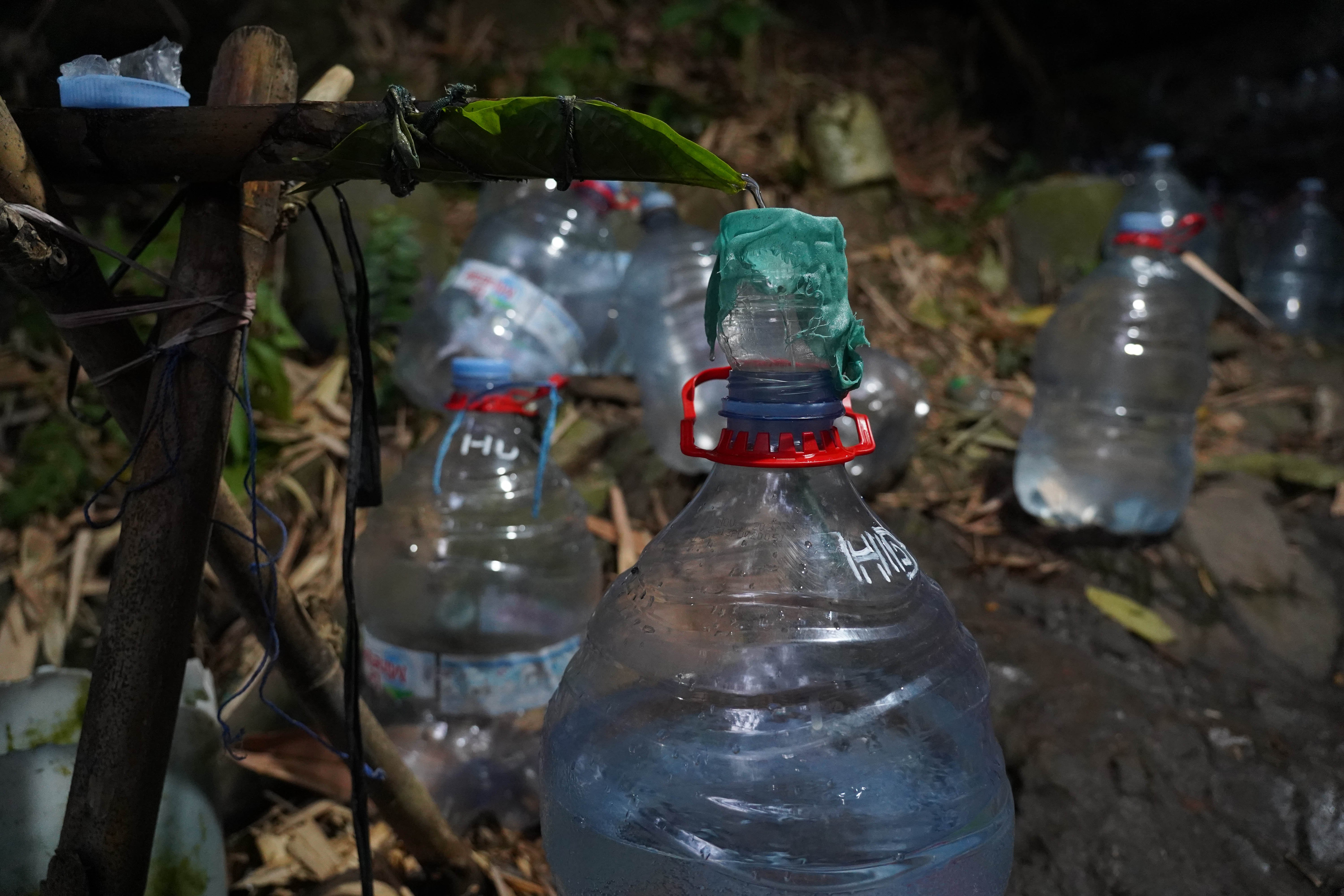 Galon milik warga menampung air yang mengalir dari sumber mata air Sumur Bendung di kawasan Gunung Batur 2, Kelurahan Mekarsari, Kota Cilegon, Banten, Jumat (31/7/2026). Musim kemarau yang melanda wilayah tersebut berdampak pada menyusutnya debit air di sumber mata air sehingga membuat warga harus memasuki kawasan hutan untuk memperoleh air bersih.