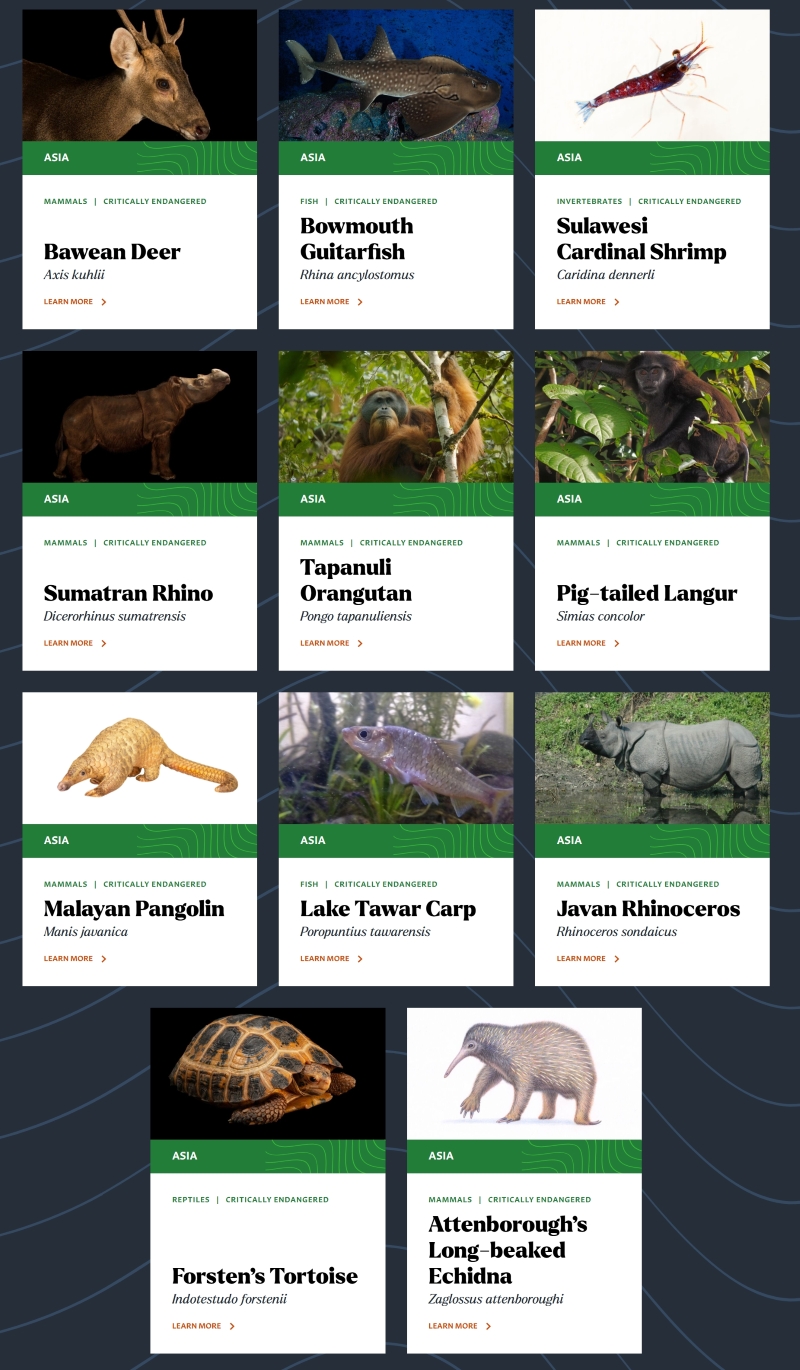 11 Spesies di Indonesia dalam Phoenix Species Project