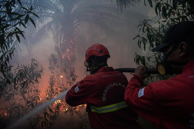 Pemadaman kebakaran lahan perkebunan sawit di Sungai Rambutan