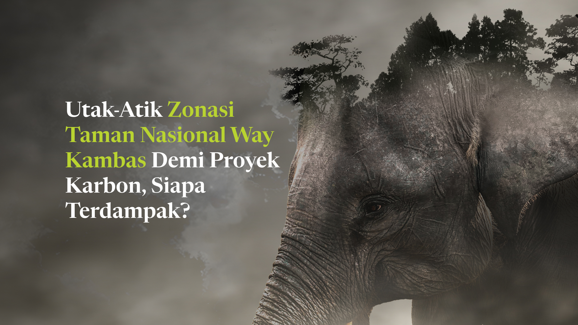 Proyek Karbon Merambah Rumah Gajah