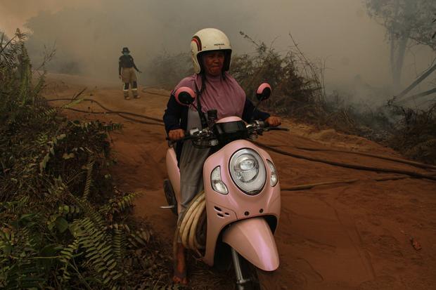 Warga mengendarai sepeda motor di sekitar lahan yang terbakar di Kelurahan Panarung, Palangka Raya, Kalimantan Tengah, Rabu (26/8/2026). Badan Penanggulangan Bencana dan Pemadam Kebakaran (BPBPK) Kalimantan Tengah mencatat luas kebakaran hutan dan lahan (karhutla) di Kalteng mencapai 5.186,51 hektare dari 1.837 kejadian sejak 1 Januari hingga 25 Agustus 2026.