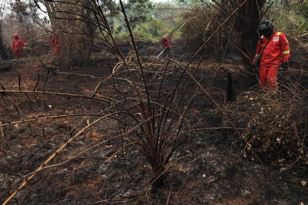 Personel Manggala Agni Daops Kalimantan VIII/Pontianak berjalan di lokasi lahan gambut yang terbakar di Sekunder C, Rasau Jaya 3, Kabupaten Kubu Raya, Kalimantan Barat, Kamis (27/8/2026). Kementerian Kehutanan mengerahkan 758 personel Manggala Agni yang diperkuat 45 personel tambahan dari Jawa, Sulawesi, dan Kalimantan Selatan untuk mendukung penanganan kebakaran hutan dan lahan (karhutla), khususnya di Kalimantan Barat dan Kalimantan Tengah.