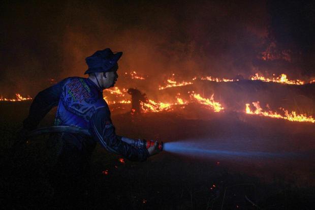 Petugas dari Dinas Kehutanan Kalteng berupaya memadamkan kebakaran di Kelurahan Menteng, Palangka Raya, Kalimantan Tengah, Kamis (27/8/2026). Dalam upaya Penanggulangan kebakaran hutan dan lahan (karhutla) di Kalimantan Tengah sebanyak 10.700 personel gabungan dikerahkan yang terdiri dari petugas Badan Penanggulangan Bencana Daerah (BPBD), TNI, Polri, Dinas Kehutanan, Manggala Agni, hingga relawan, serta dukungan satu pesawat untuk modifikasi cuaca dan patroli udara.