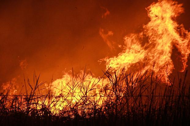 Api membakar lahan di Kelurahan Menteng, Palangka Raya, Kalimantan Tengah, Kamis (27/8/2026). Dalam upaya Penanggulangan kebakaran hutan dan lahan (karhutla) di Kalimantan Tengah sebanyak 10.700 personel gabungan dikerahkan yang terdiri dari petugas Badan Penanggulangan Bencana Daerah (BPBD), TNI, Polri, Dinas Kehutanan, Manggala Agni, hingga relawan, serta dukungan satu pesawat untuk modifikasi cuaca dan patroli udara, serta enam helikopter untuk pemadaman karhutla melalui udara.