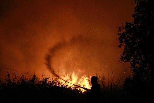 Petugas dari Dinas Kehutanan Kalteng berupaya memadamkan kebakaran di Kelurahan Menteng, Palangka Raya, Kalimantan Tengah, Kamis (27/8/2026). Dalam upaya Penanggulangan kebakaran hutan dan lahan (karhutla) di Kalimantan Tengah sebanyak 10.700 personel gabungan dikerahkan yang terdiri dari petugas Badan Penanggulangan Bencana Daerah (BPBD), TNI, Polri, Dinas Kehutanan, Manggala Agni, hingga relawan, serta dukungan satu pesawat untuk modifikasi cuaca dan patroli udara.