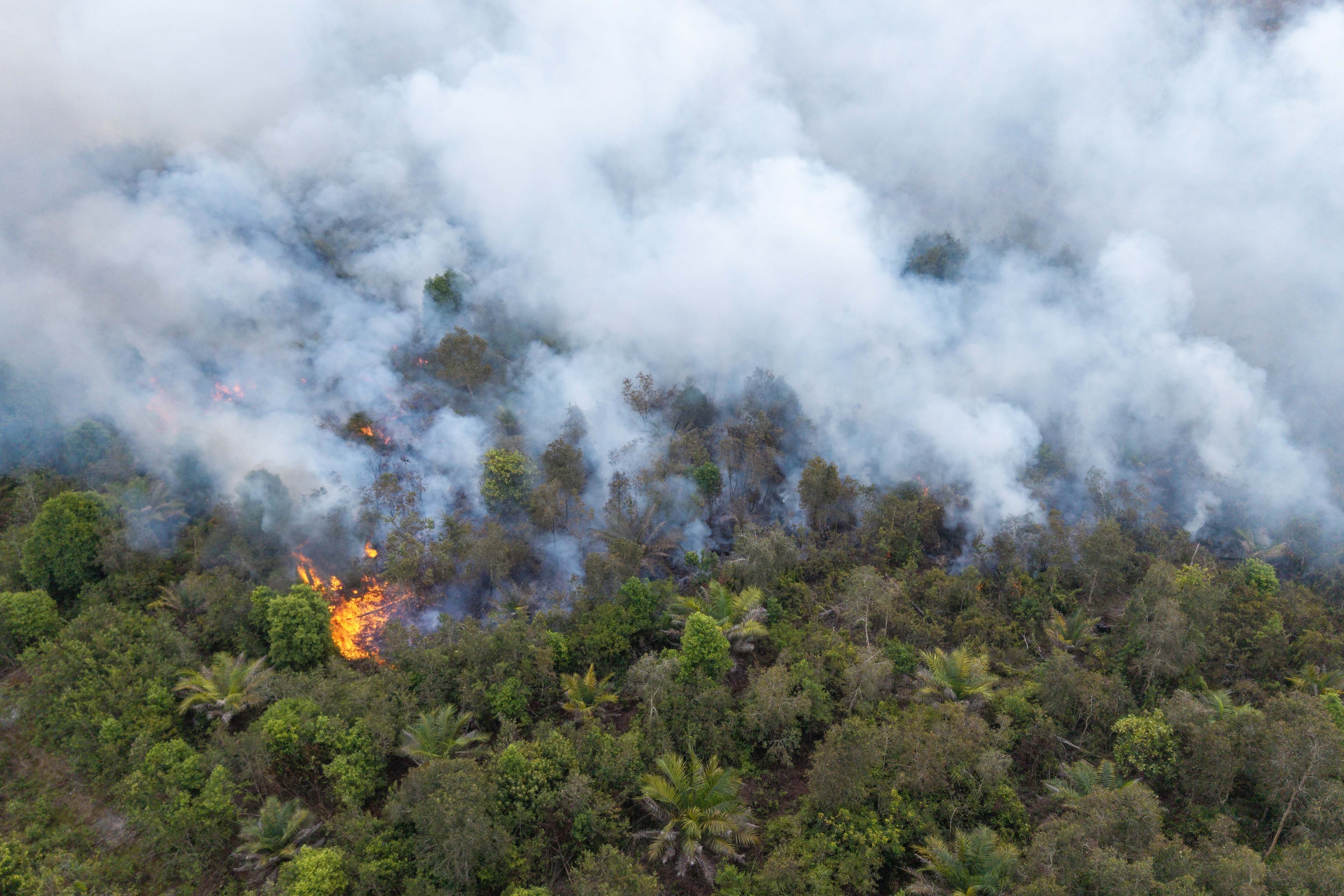 Foto udara kebakaran lahan gambut di Desa Kota Bumi, Kecamatan Tanjung Lubuk, Kabupaten Ogan Komering Ilir (OKI), Sumatera Selatan, Rabu (26/8/2026). Berdasarkan data Balai Pengendalian Kebakaran Hutan Wilayah Sumatera Kementerian Kehutanan, luas lahan yang terbakar sepanjang Januari–Juli 2026 mencapai 1.926,2 hektare, terdiri atas 1.857,7 hektare lahan mineral dan 68,5 hektare lahan gambut. 