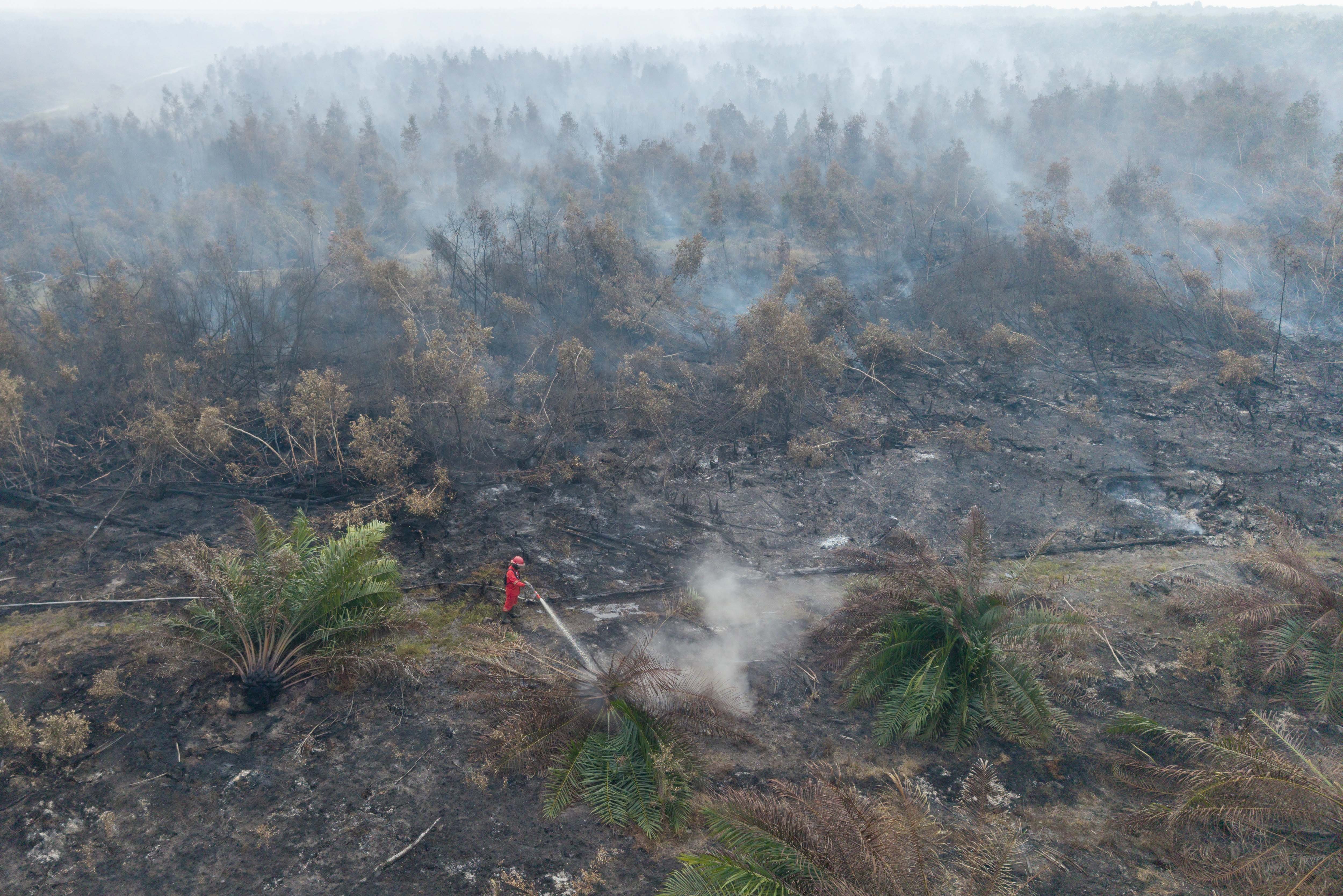 Petugas dari Manggala Agni Daops Sumatera XVI-Lahat memadamkan kebakaran lahan gambut di Desa Kota Bumi, Kecamatan Tanjung Lubuk, Kabupaten Ogan Komering Ilir (OKI), Sumatera Selatan, Rabu (26/8/2026). Balai Pengendalian Kebakaran Hutan Wilayah Sumatera Kementerian Kehutanan mengerahkan tiga regu personel Manggala Agni untuk memadamkan kebakaran lahan gambut sekitar 50 hektare di daerah tersebut yang terjadi sejak 15 hari yang lalu. 