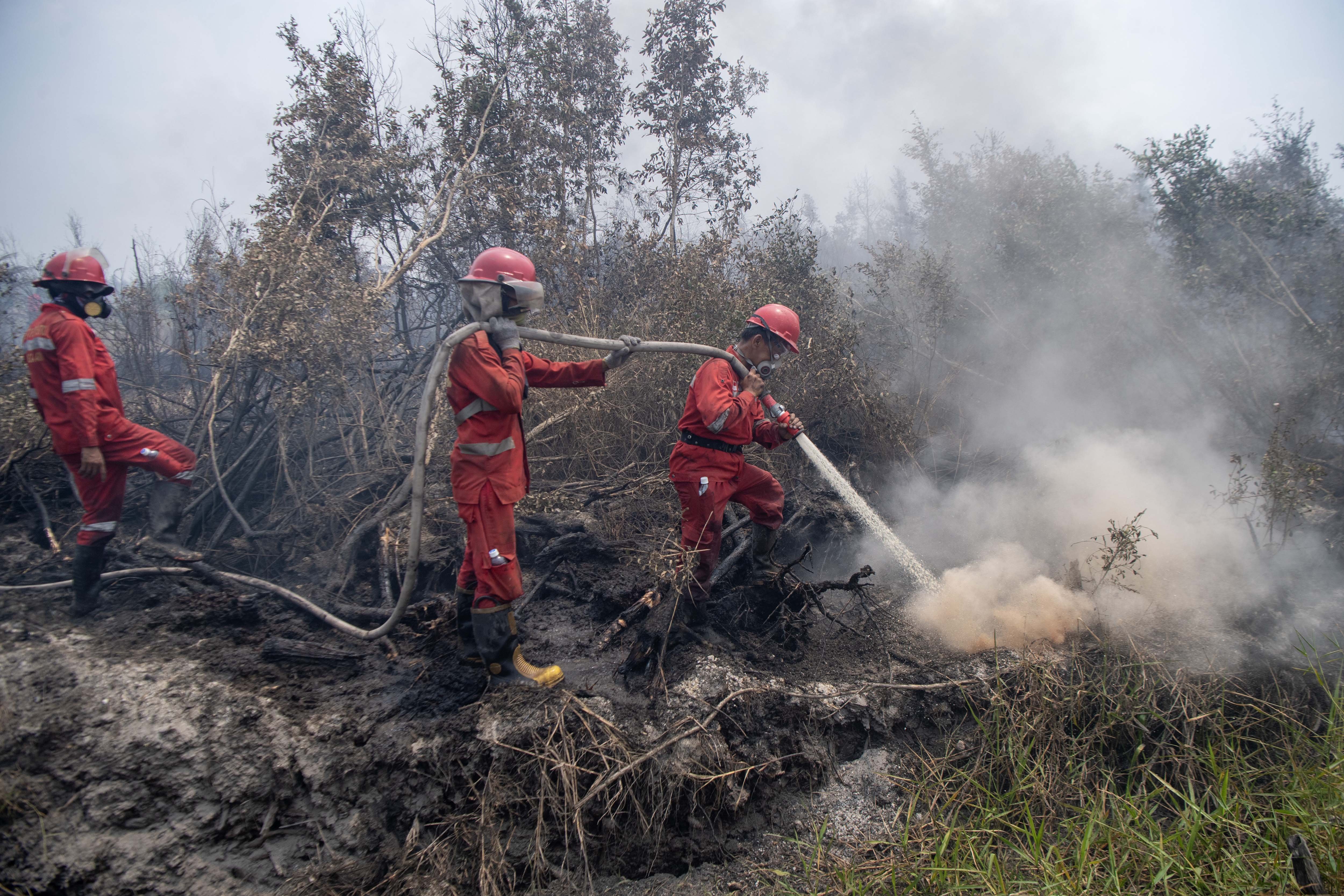 Petugas dari Manggala Agni Daops Sumatera XVI-Lahat memadamkan kebakaran lahan gambut di Desa Kota Bumi, Kecamatan Tanjung Lubuk, Kabupaten Ogan Komering Ilir (OKI), Sumatera Selatan, Rabu (26/8/2026). Balai Pengendalian Kebakaran Hutan Wilayah Sumatera Kementerian Kehutanan mengerahkan tiga regu personel Manggala Agni untuk memadamkan kebakaran lahan gambut sekitar 50 hektare di daerah tersebut yang terjadi sejak 15 hari yang lalu.