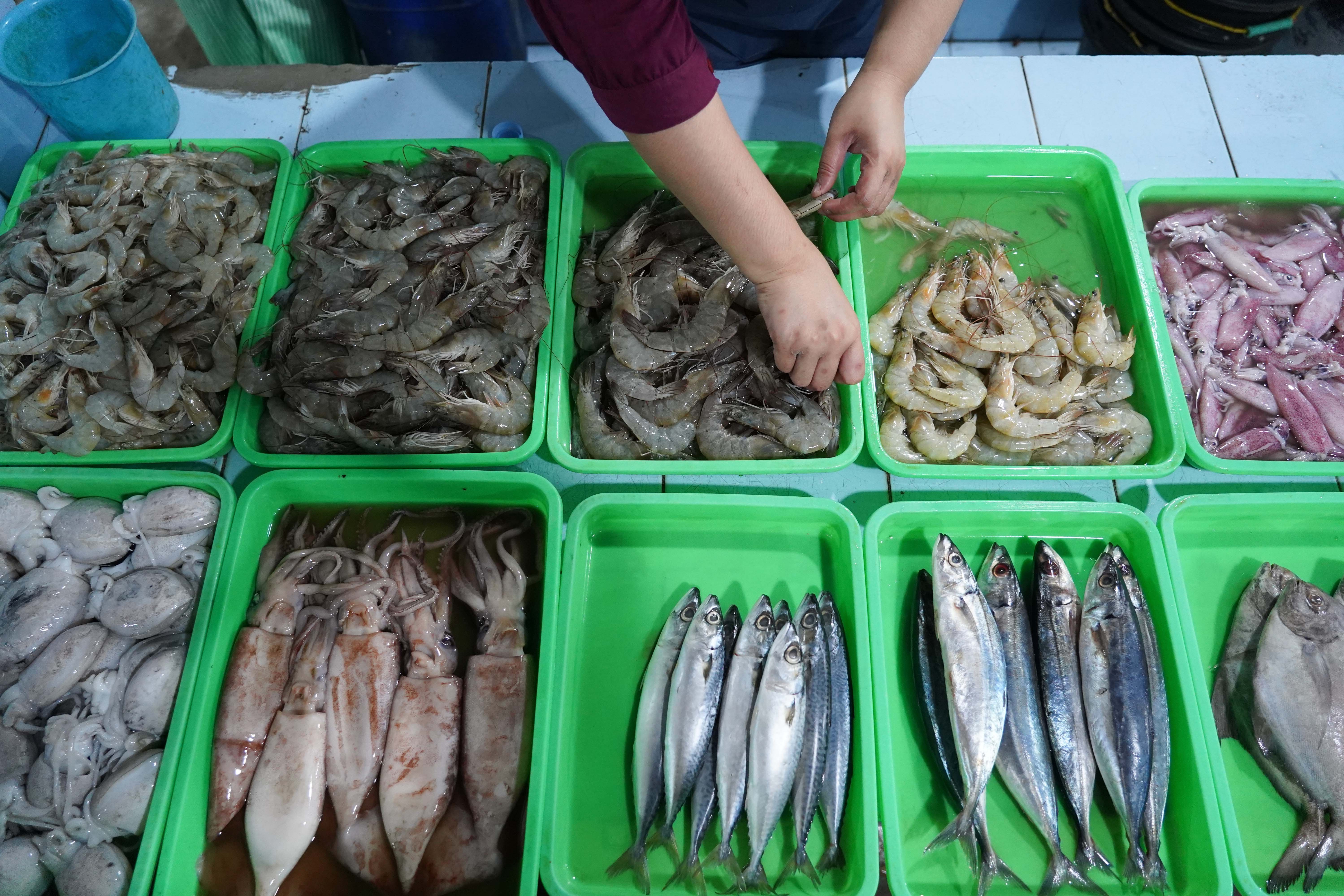 Pedagang menyiapkan ikan yang dijual di Lokasi Binaan (Lokbin) Pasar Ikan, Kramat Jati, Jakarta Timur, Selasa (1/9/2026). Pemprov DKI Jakarta merelokasi 614 pedagang yang berjualan di area jalan sekitar Pasar Kramat Jati ke lokasi binaan yang berada di samping Mal Lippo Plaza guna menata kawasan tersebut agar menjadi lebih rapi dan mengembalikan fungsi jalan serta trotoar untuk pejalan kaki.