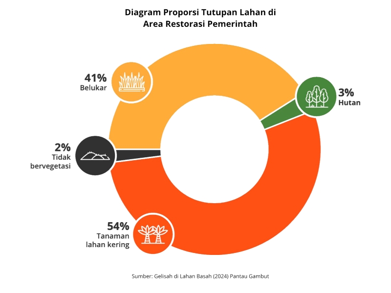Tutupan Lahan di Area Restorasi Gambut