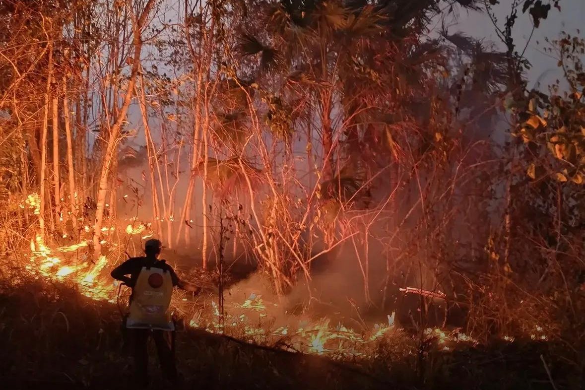 Taman Nasional Aketajawe Lolobata