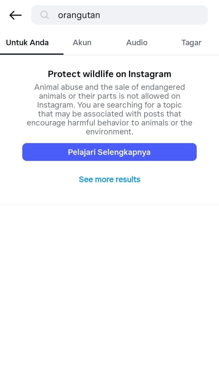Pencarian Kata Orang Utan di IG 1