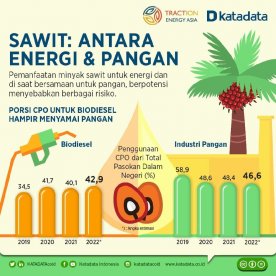 Minyak sawit yang dimanfaatkan untuk pangan dan bahan baku biodiesel berpotensi mengalami kelangkaan di masa depan jika tidak dilakukan diversifikasi 
