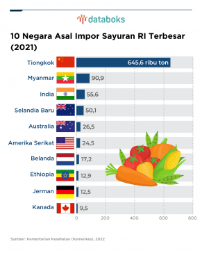 10 Negara Asal Impor Sayuran RI Terbesar
