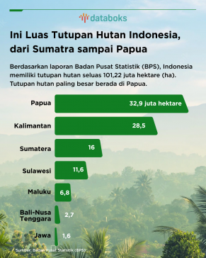 Luas Tutupan Hutan Indonesia 2021