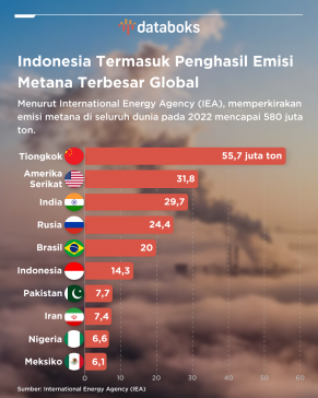 International Energy Agency (IEA) melaporkan, Indonesia merupakan salah satu dari 10 negara penghasil emisi metana antropogenik terbesar dunia pada 2022