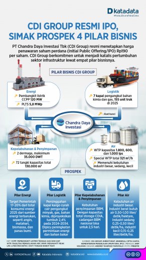 Infografik CDI Group