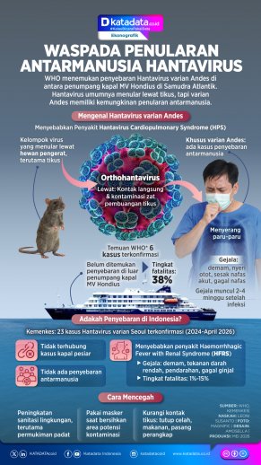 INFOGRAFIK: Waspada Penularan Antarmanusia Hantavirus