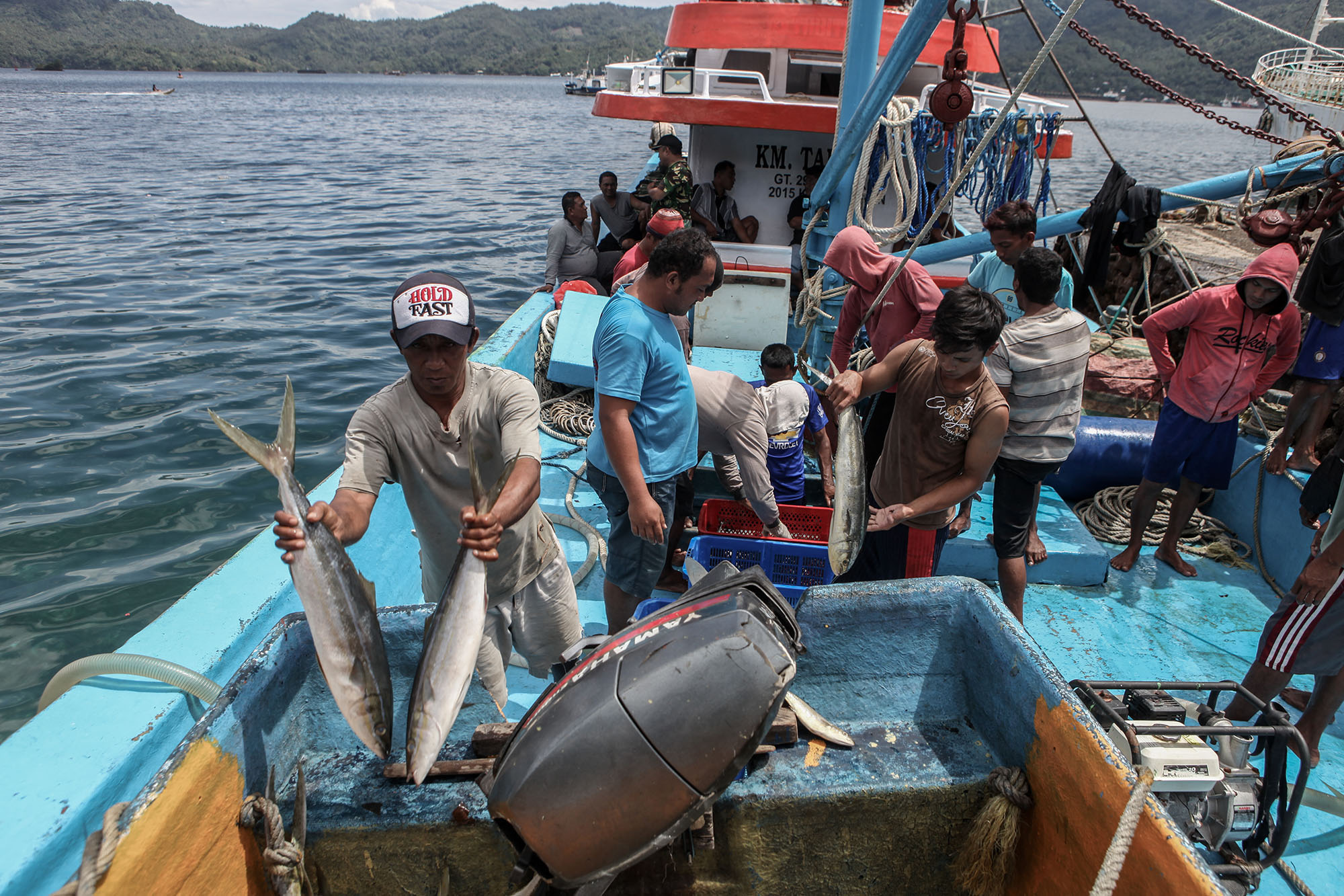Lumbung Tuna Bitung dan Jejak OrangOrang SAPI Foto Katadata.co.id