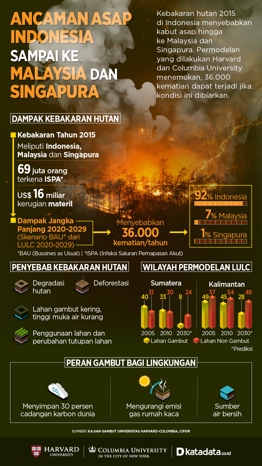 Kebakaran terhadap pernapasan manusia dampak sistem hutan 10 189