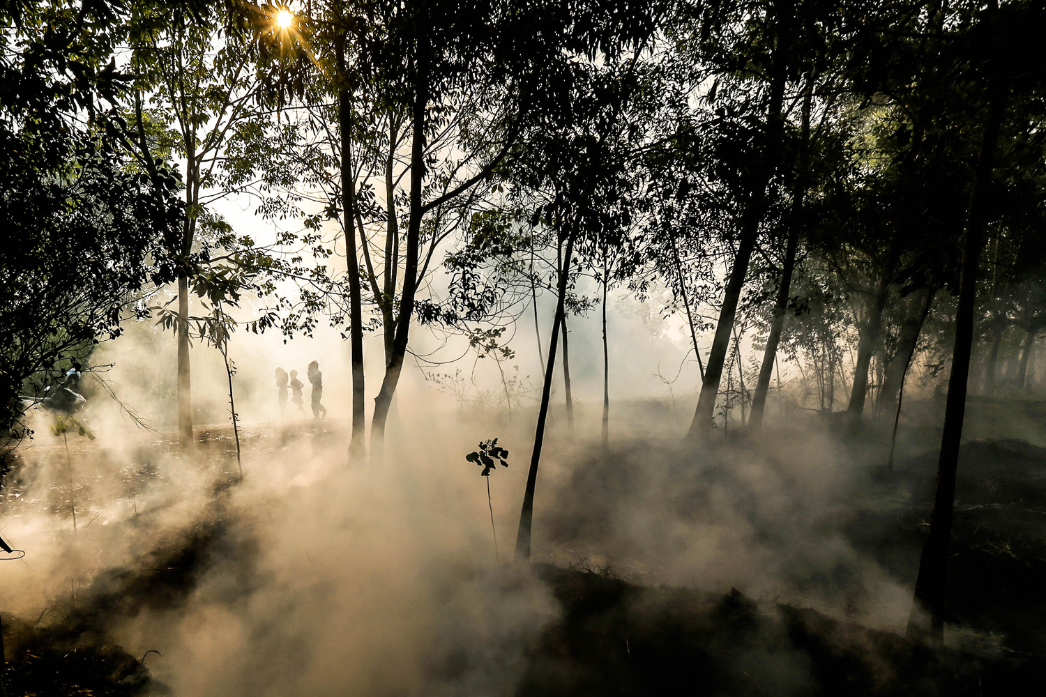 Foto: Darurat Kebakaran Hutan Dan Lahan - Foto Katadata.co.id