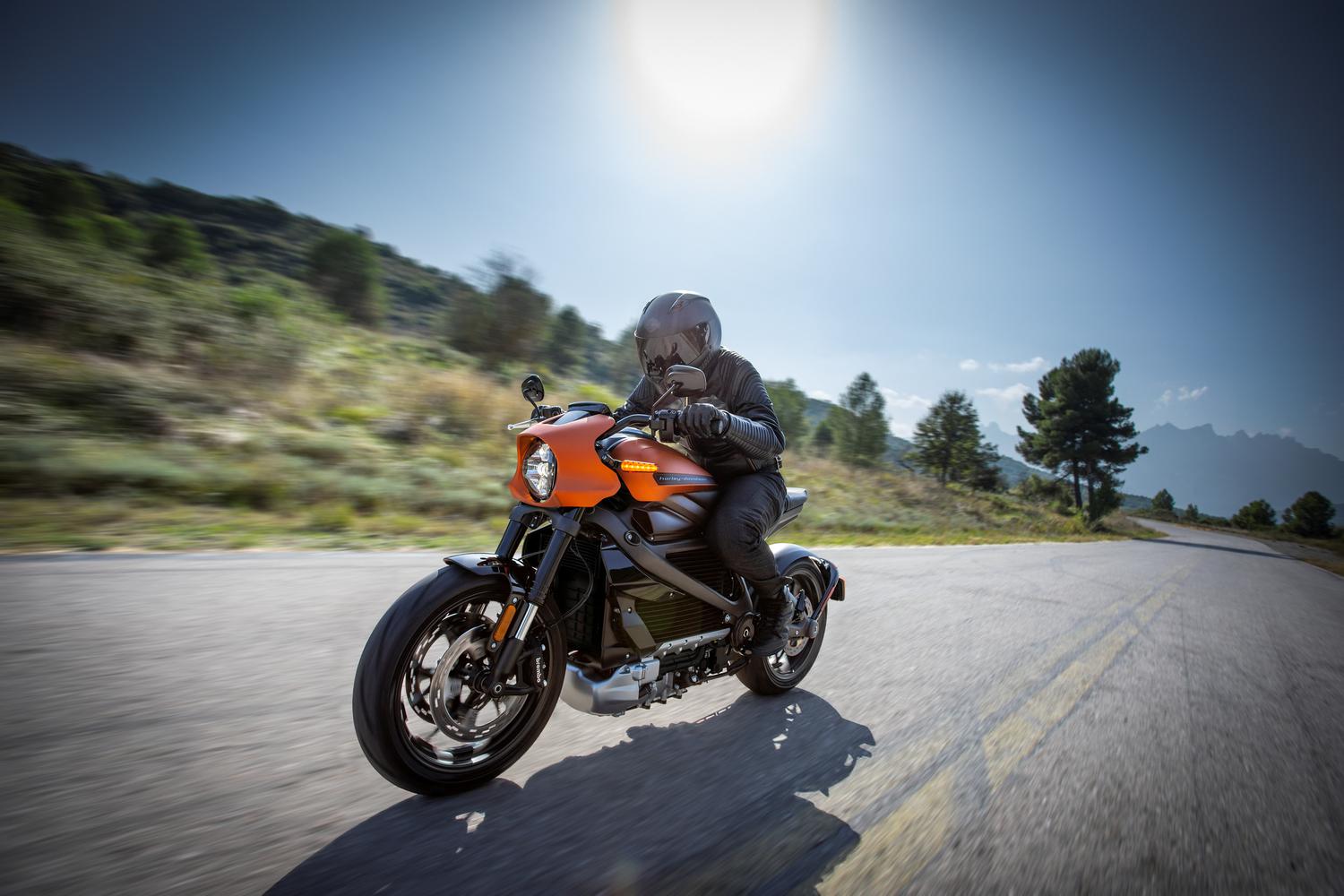 Harley Davidson-Electricbike