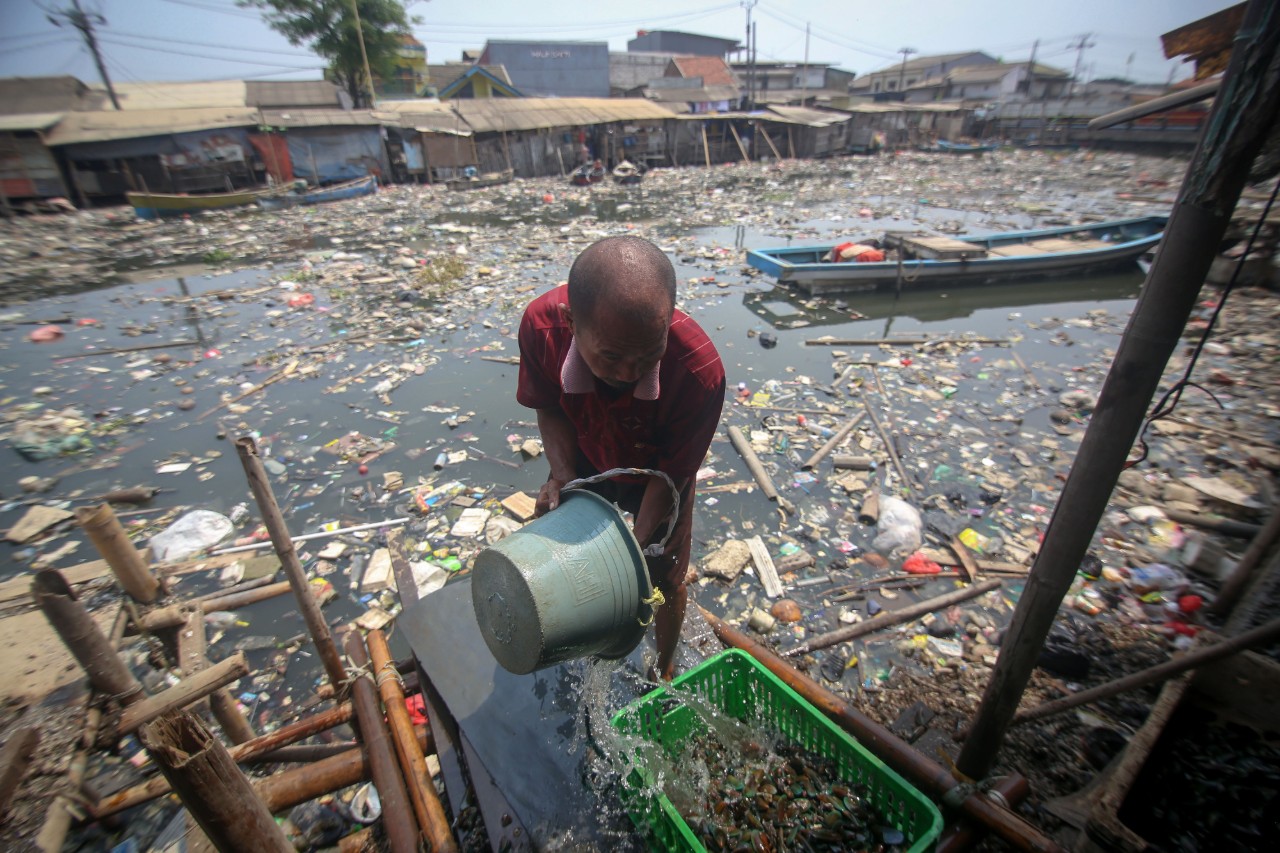 Seorang warga mengambil air untuk membersihkan kerang dagangannya di Kali Apuran yang tercemar limbah di Dadap, Kabupaten Tangerang, Banten, Rabu (20/11/2019). Kondisi air Kali Apuran berubah warna menjadi hitam dan mengeluarkan bau serta dipenuhi sampah akibat pembuangan limbah rumah tangga oleh masyarakat yang berada di sekitar daerah tersebut. Foto Pilihan Pekan Ketiga November 2019