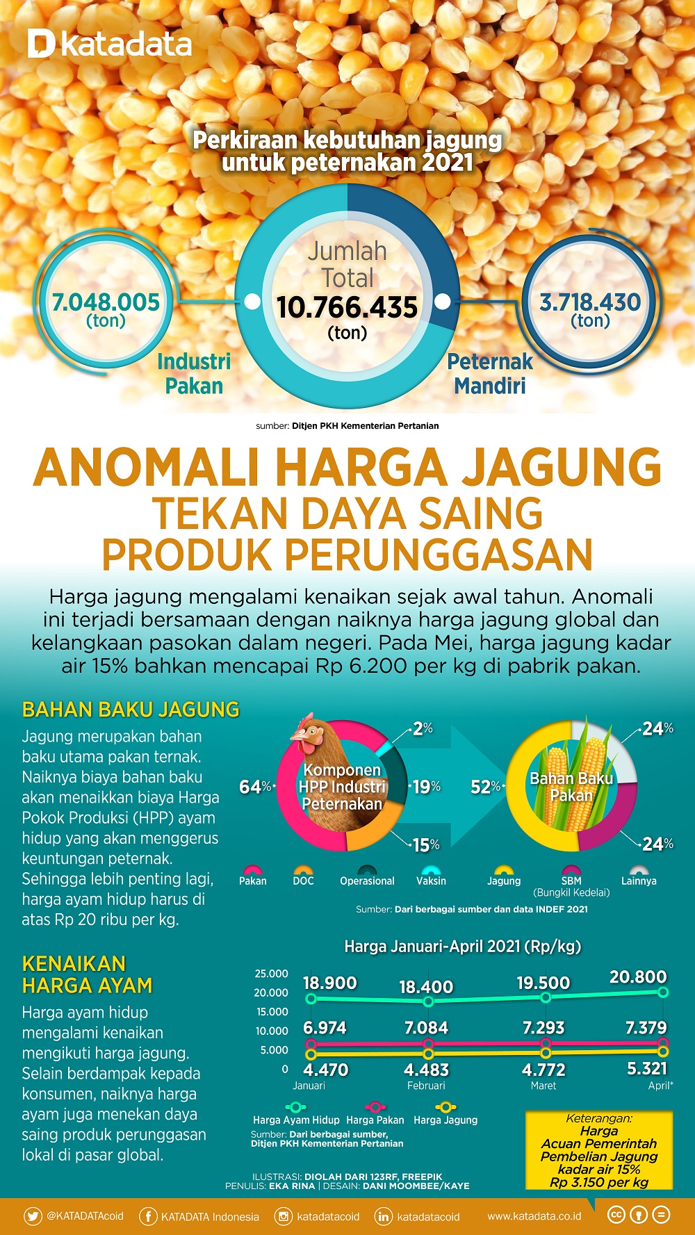 Infografik_Anomali Harga Jagung Tekan Daya Saing Produk Perunggasan 